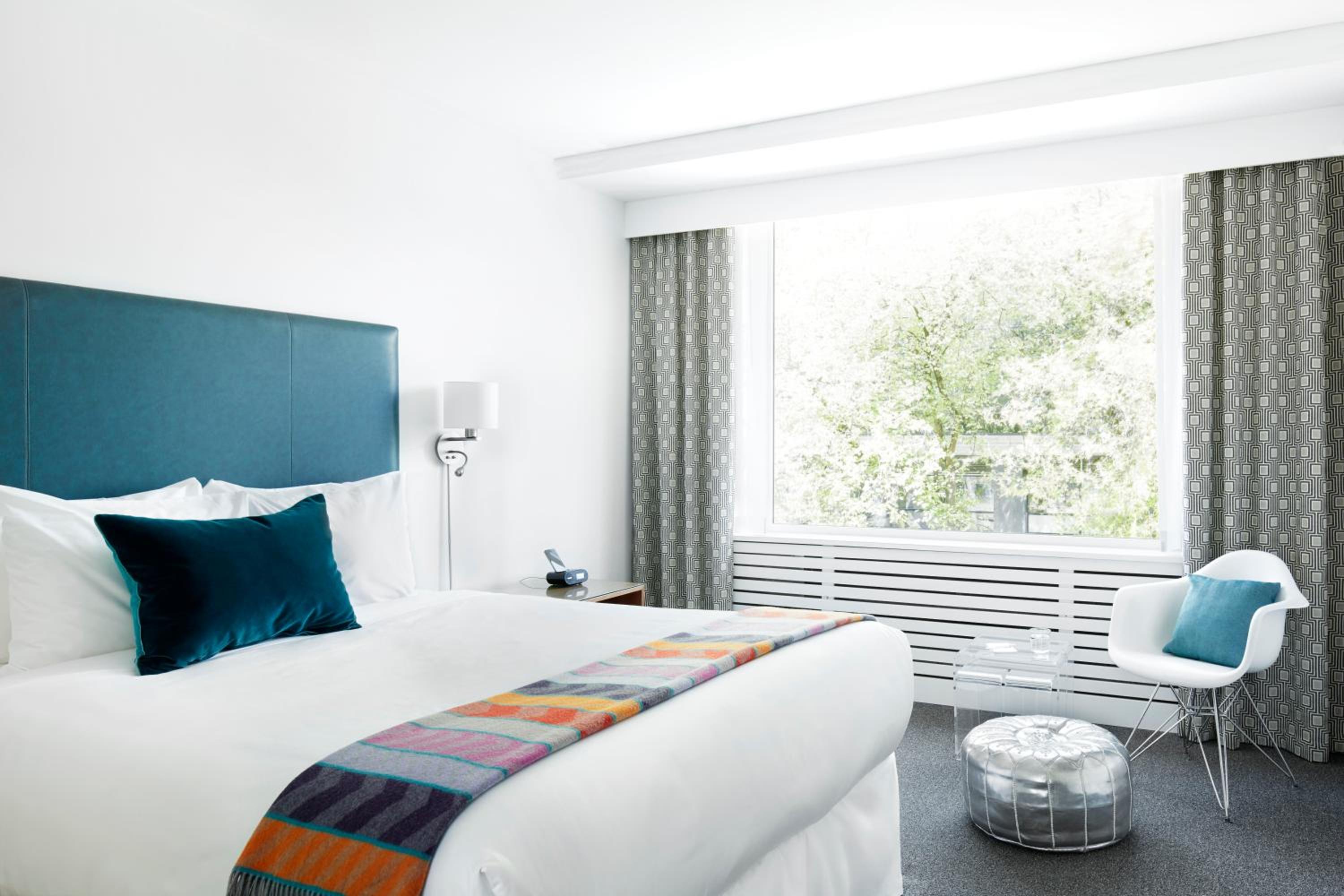 King Room - Photo 1