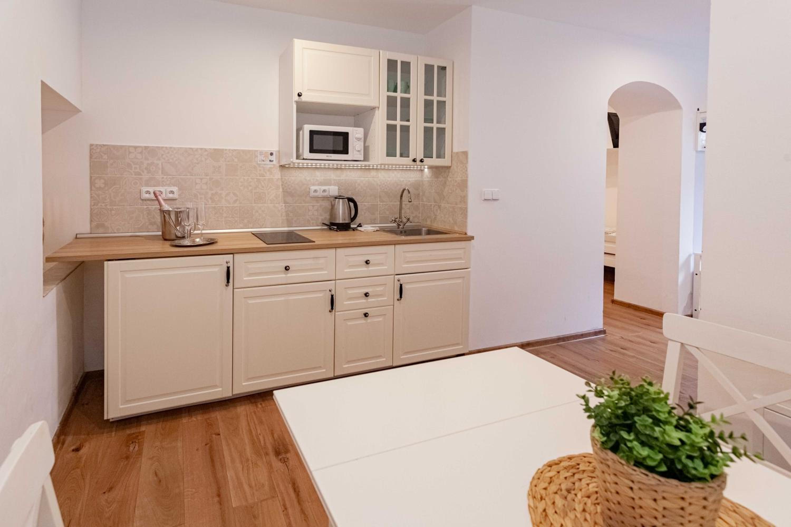 One-Bedroom Apartment with View photo 2