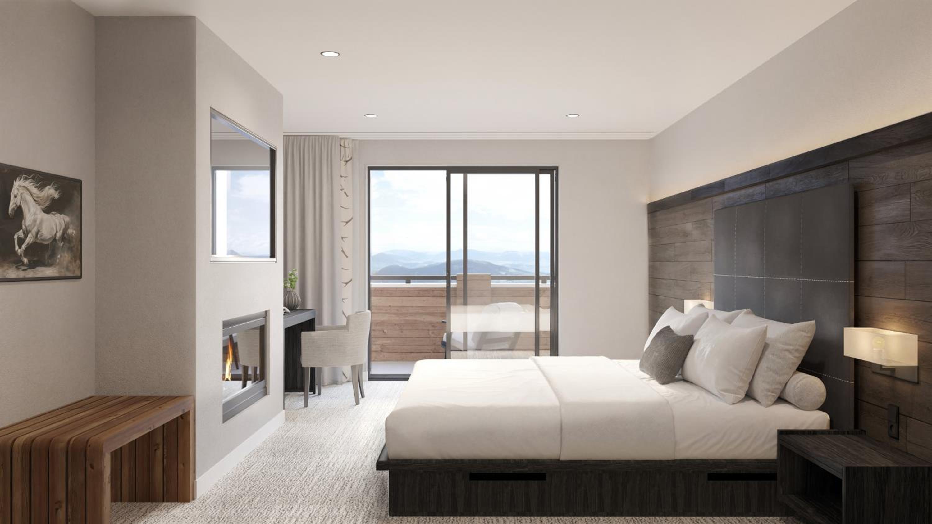Executive Suite