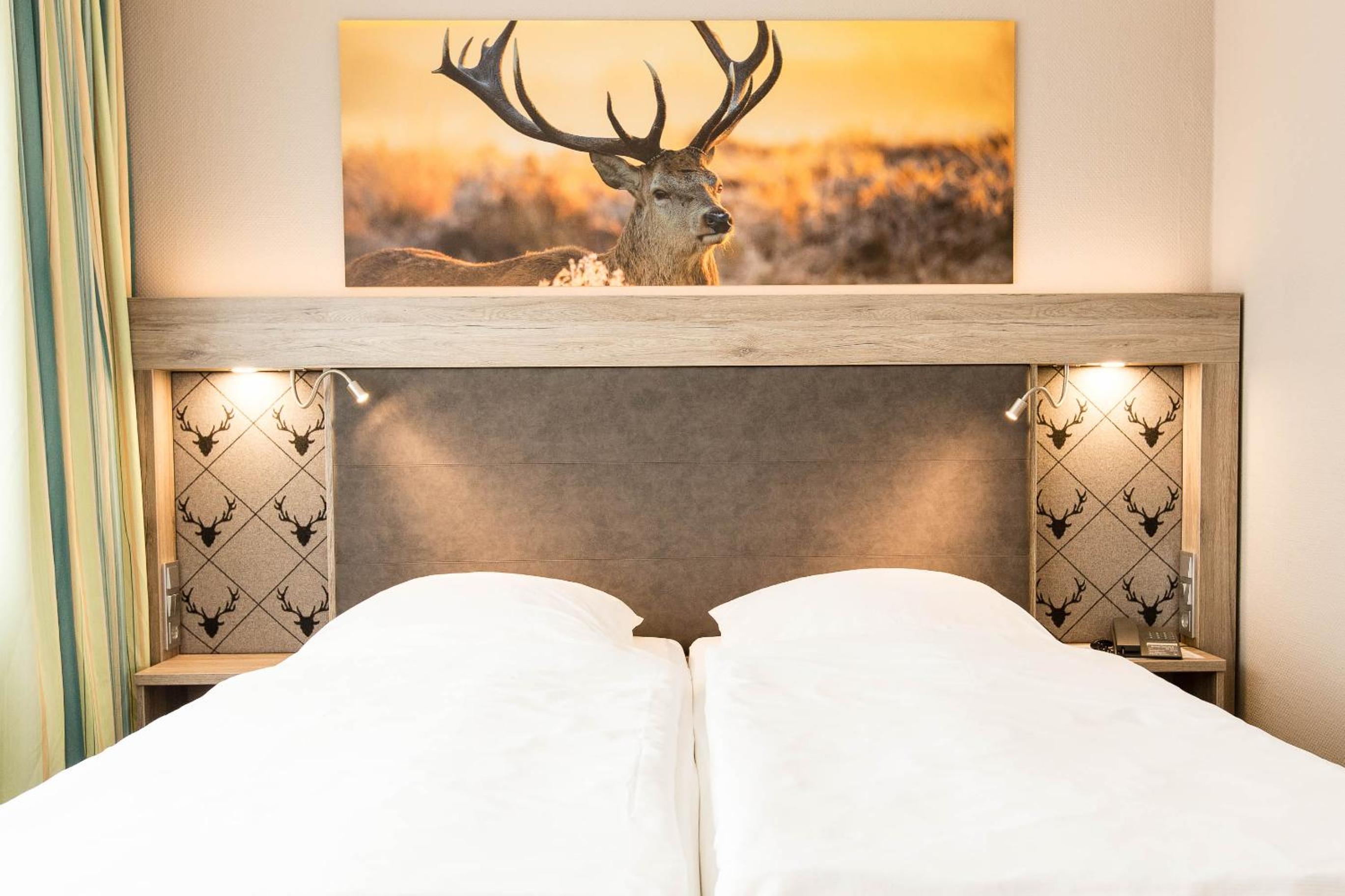 Premium Double Room