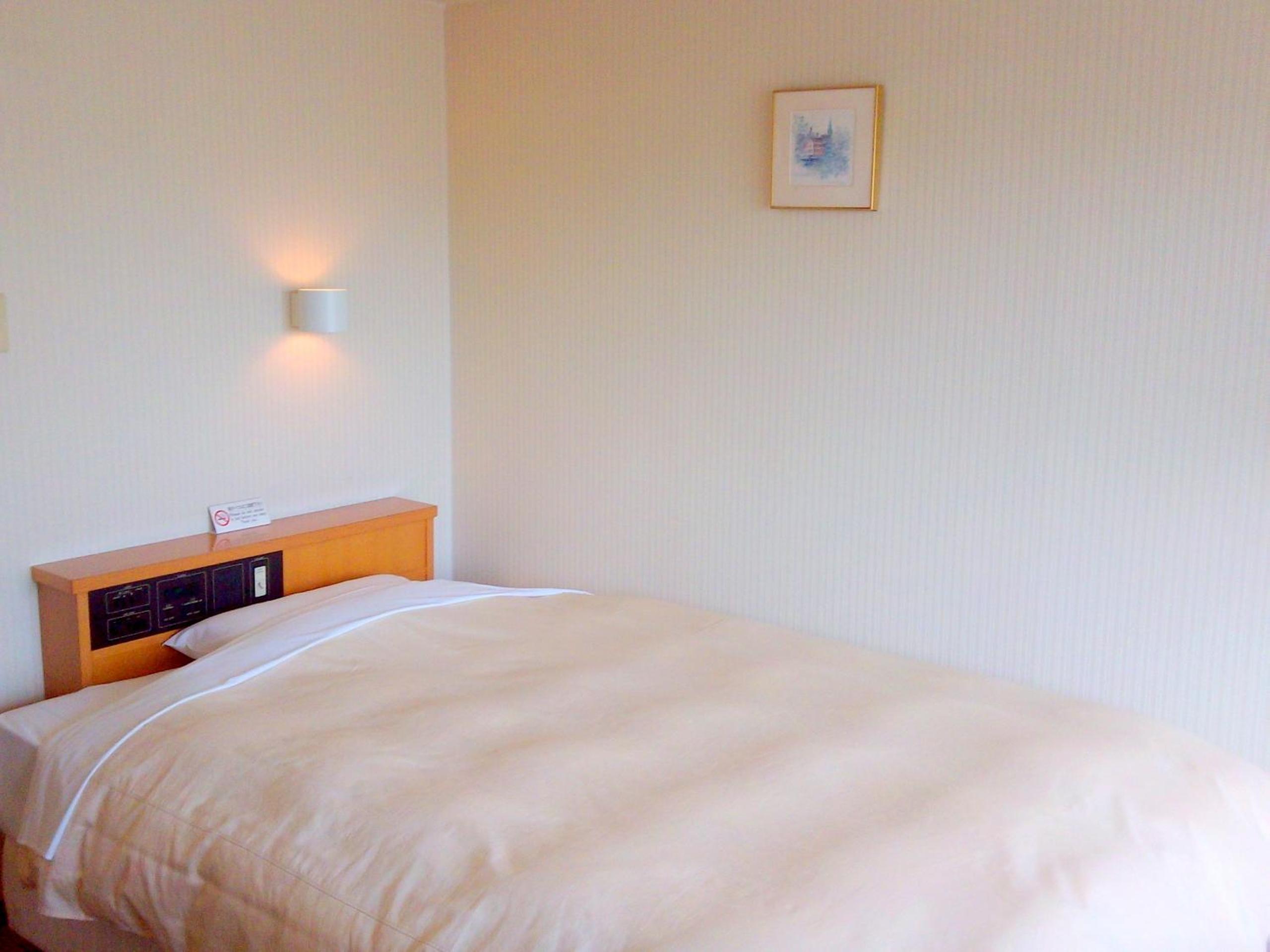 Single Room - Smoking - Room Only