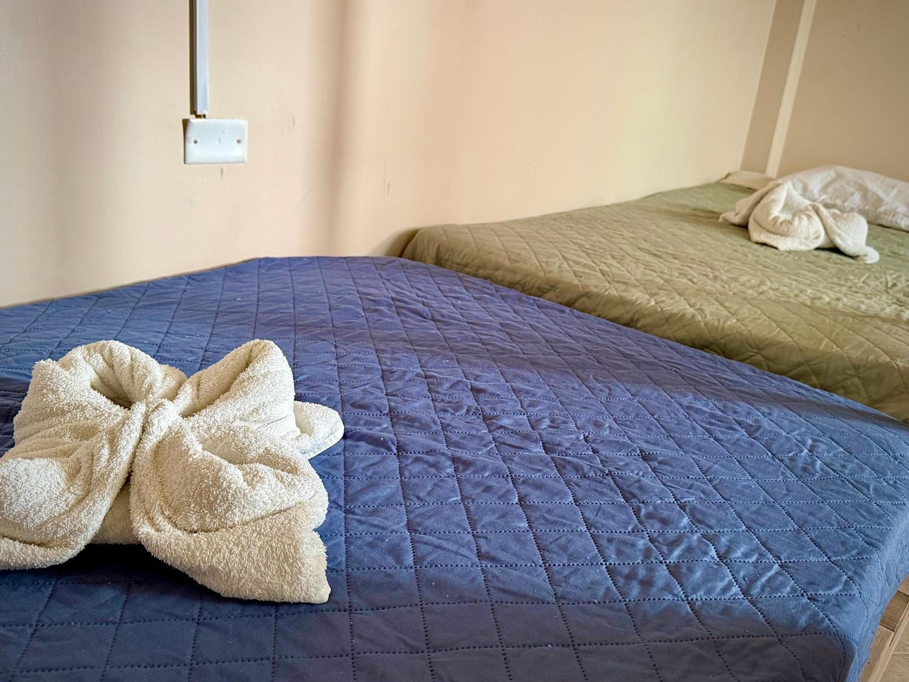 Single Bed in 4-Bed Dormitory Room photo 3
