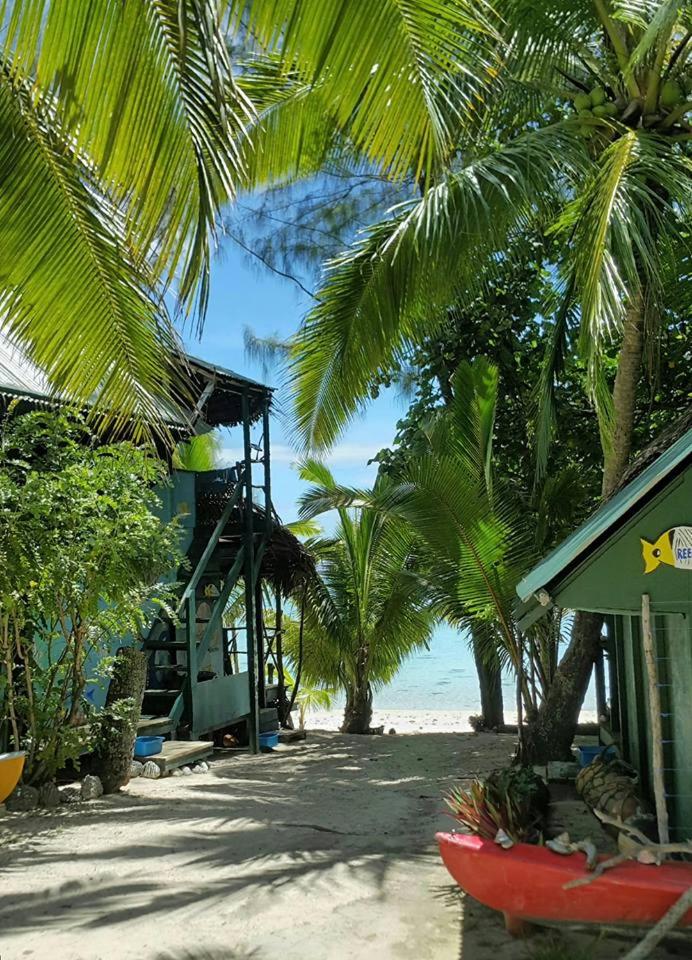 Upper Tree House - Double Room photo 2