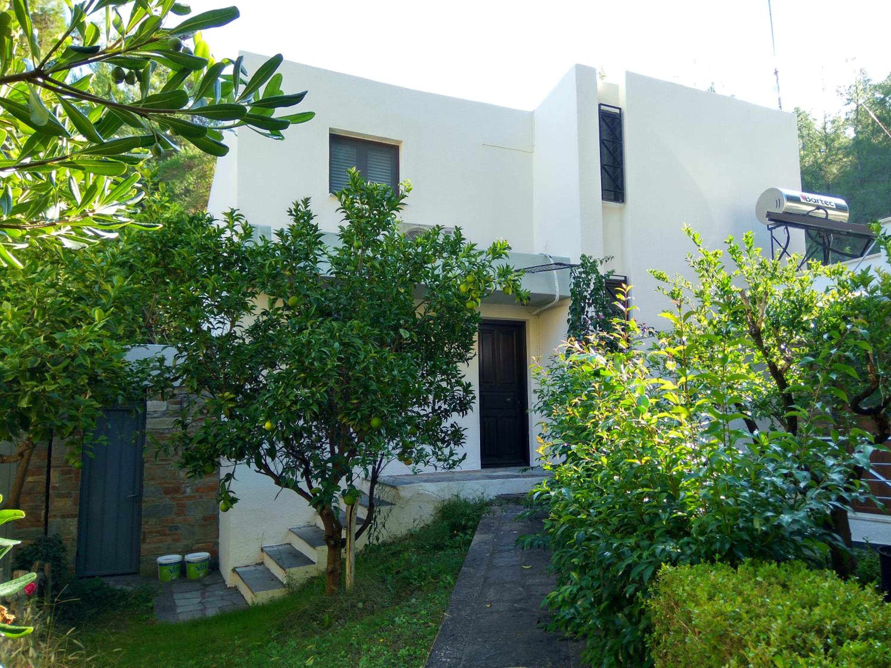 Three-Bedroom Villa photo 3