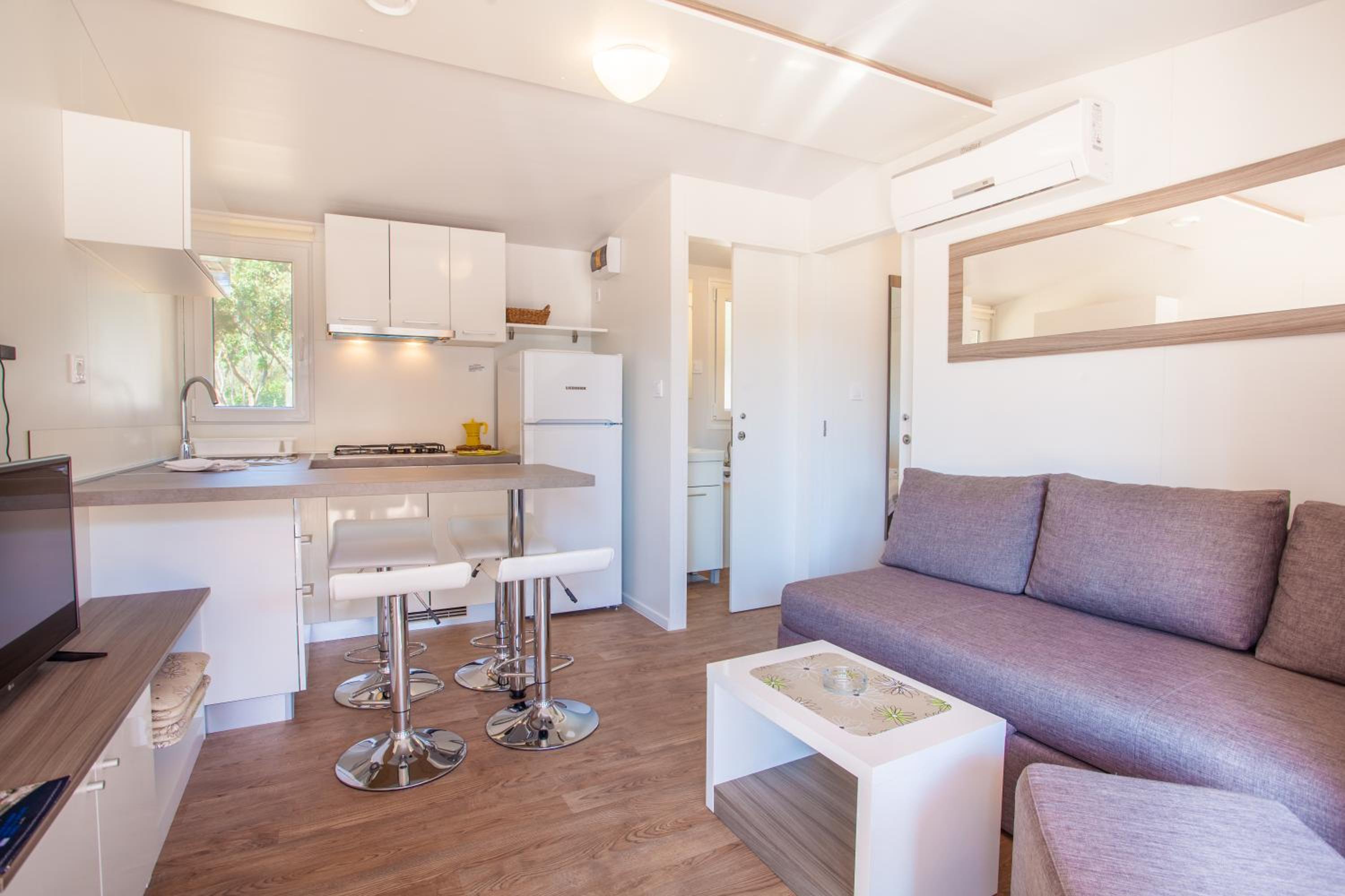 Mobile Home photo 1