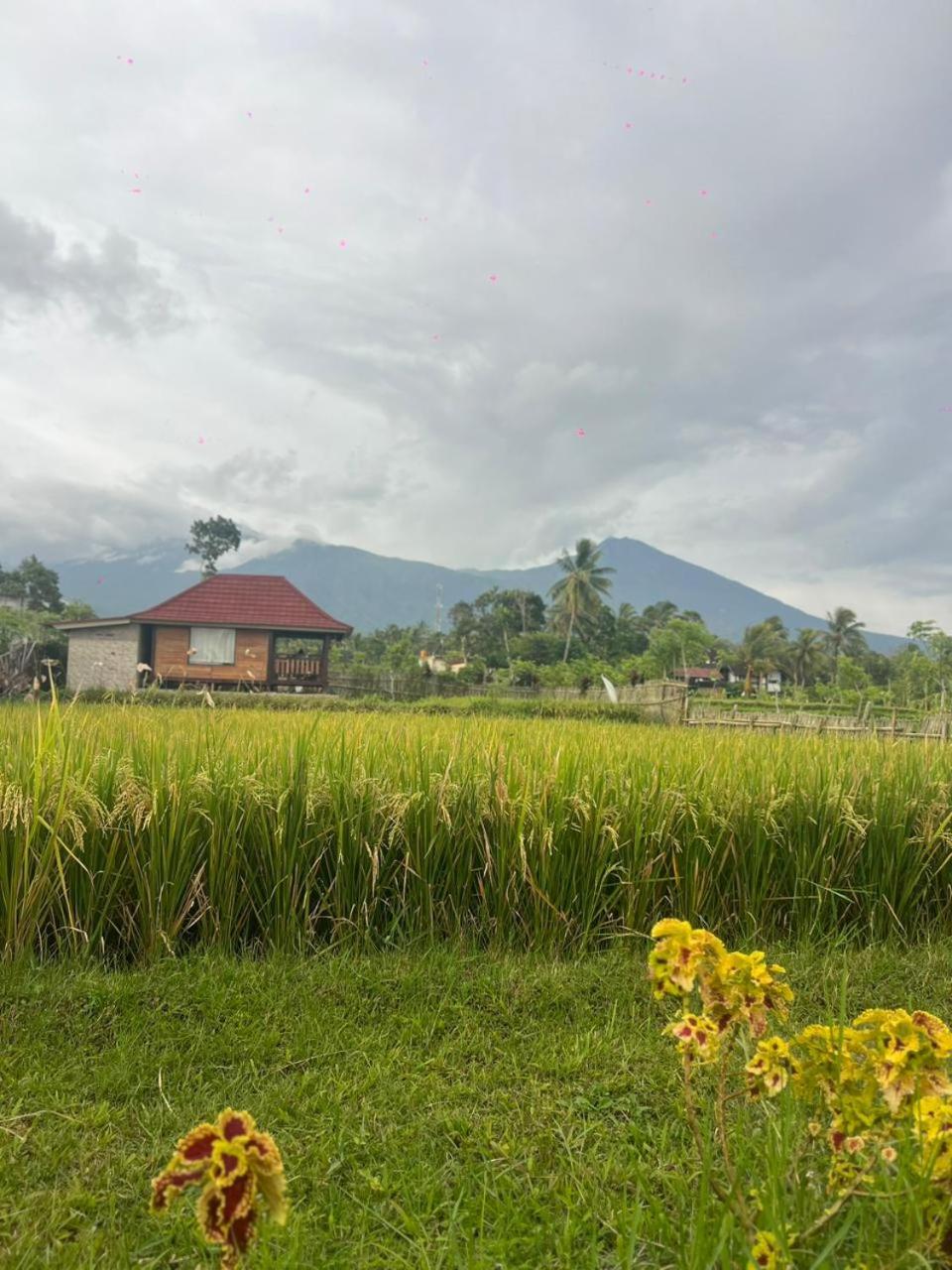 Double Room with Mountain View photo 2
