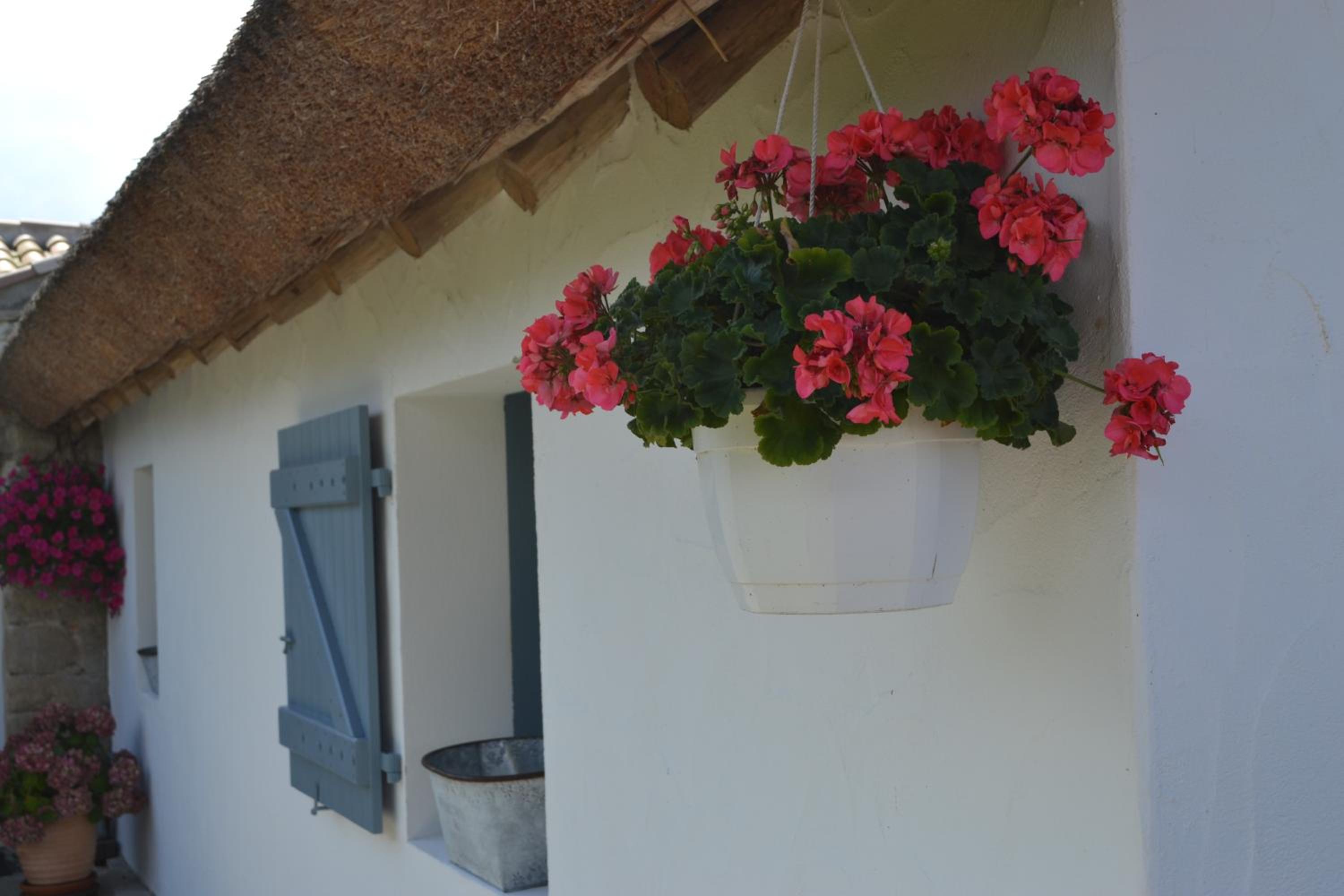 Double Room with Garden View photo 3