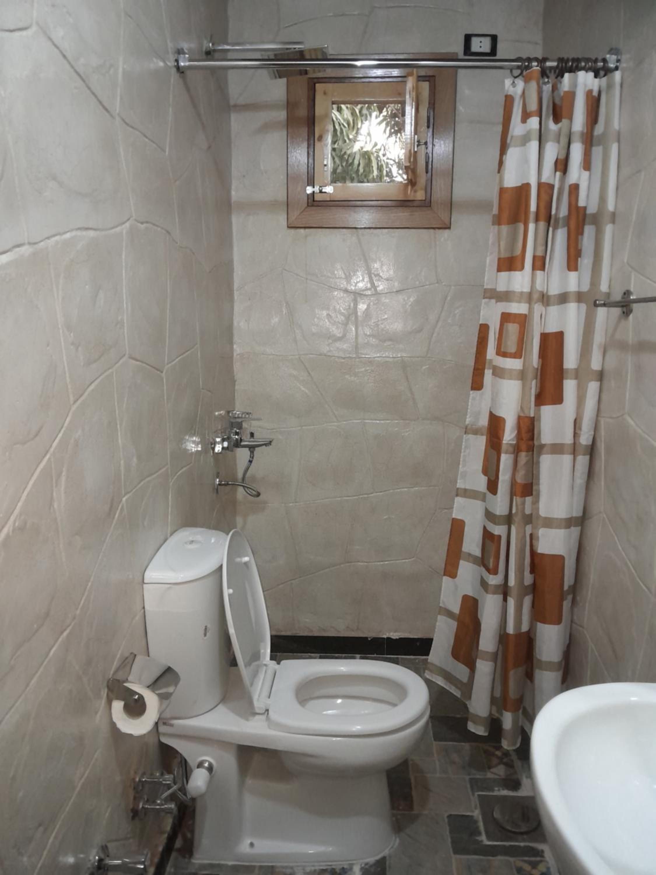 Deluxe Double or Twin Room with Balcony photo 3