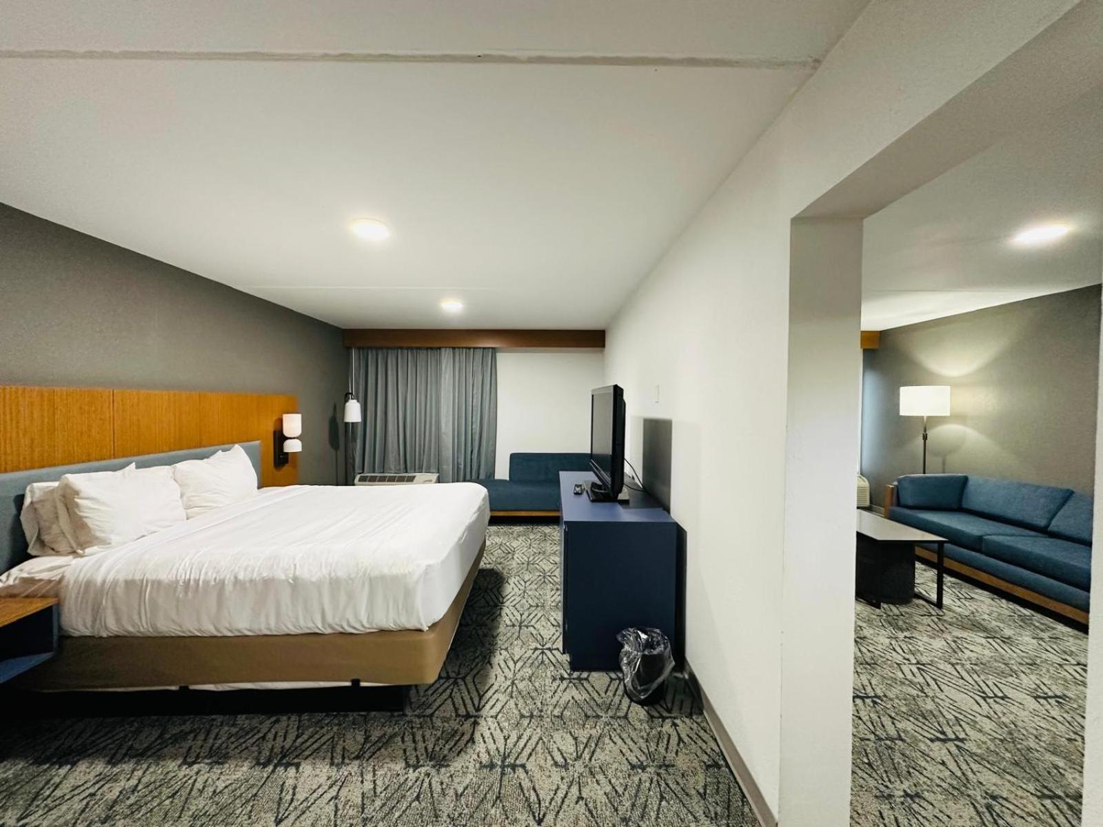 Suite - King Bed Non - Smoking