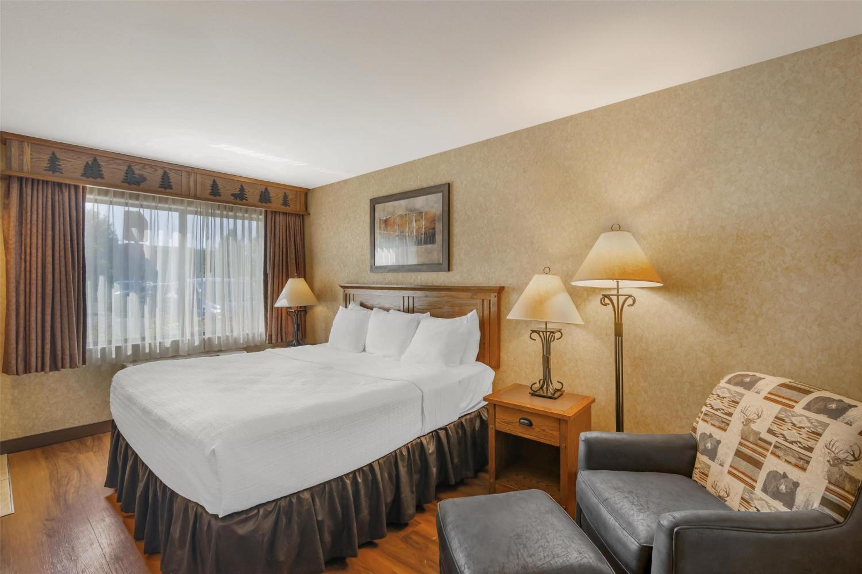 King Room with Roll-In Shower - Disability Access/First Floor/Non-Smoking - Photo 1