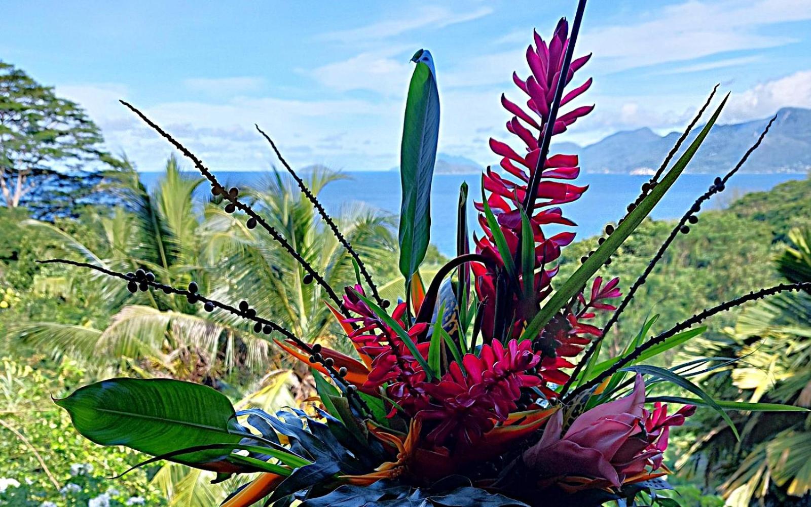 Deluxe Suite with Sea View