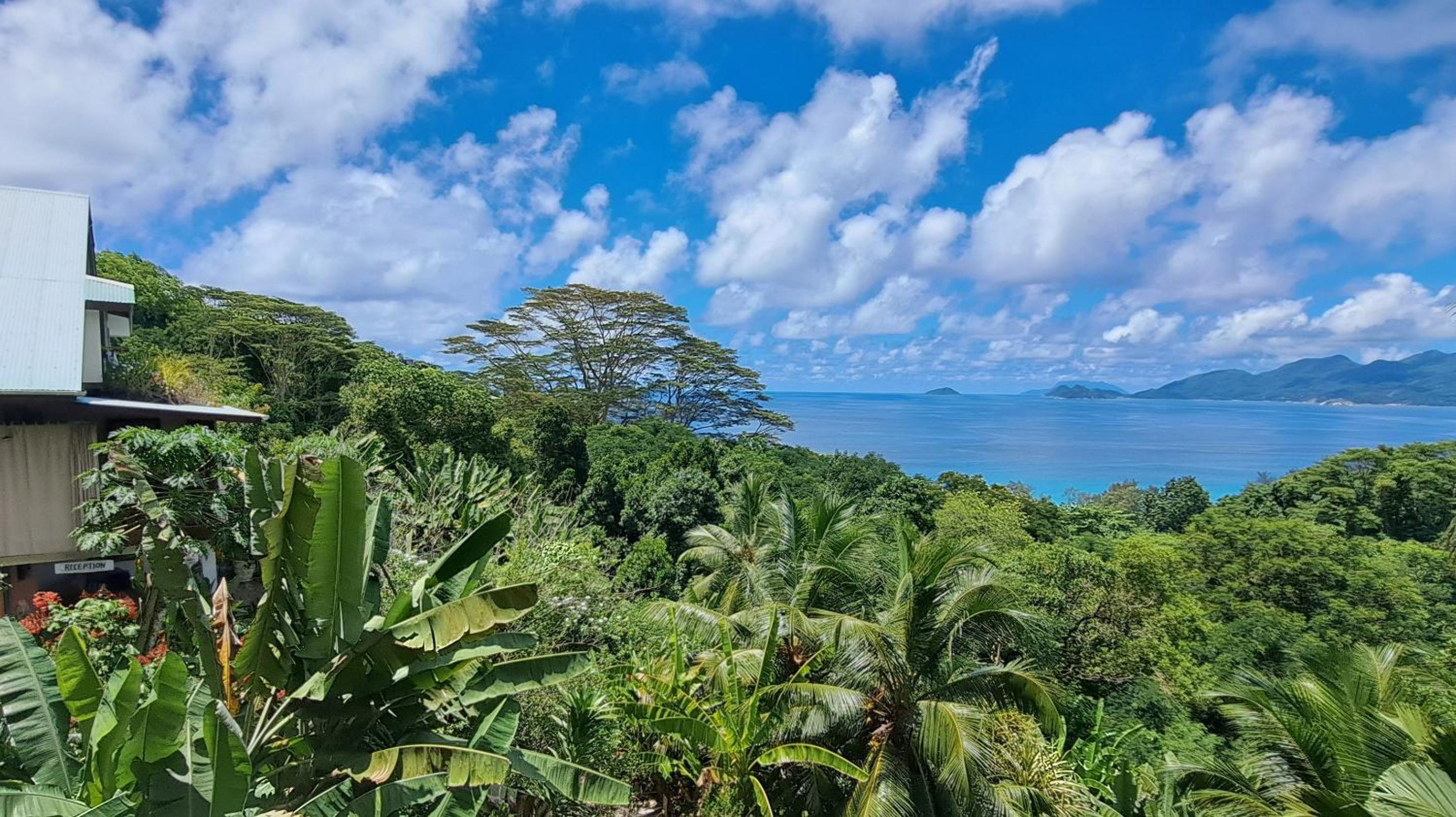 One-Bedroom Apartment with Ocean View
