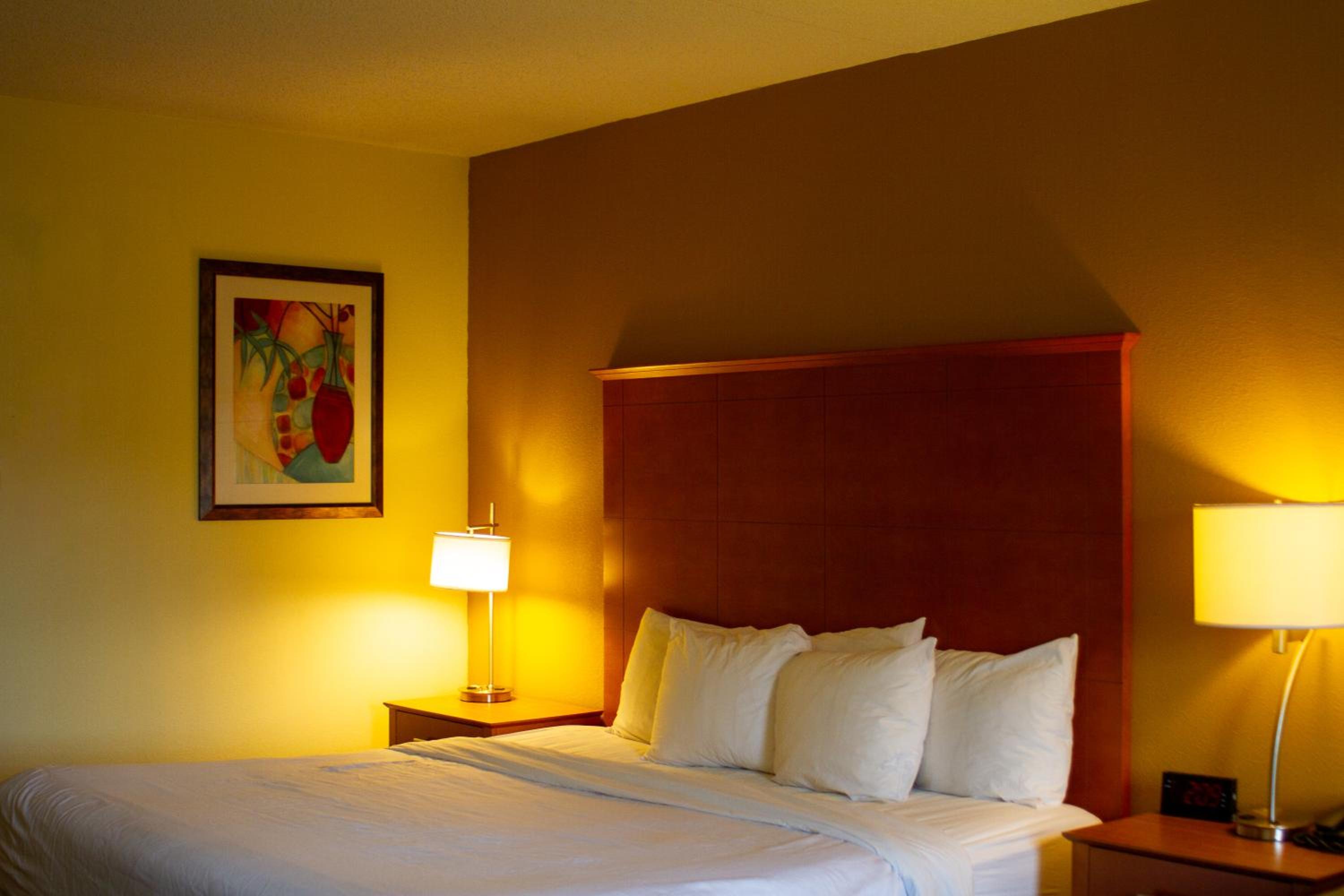 King Room - Non-Smoking - Photo 1