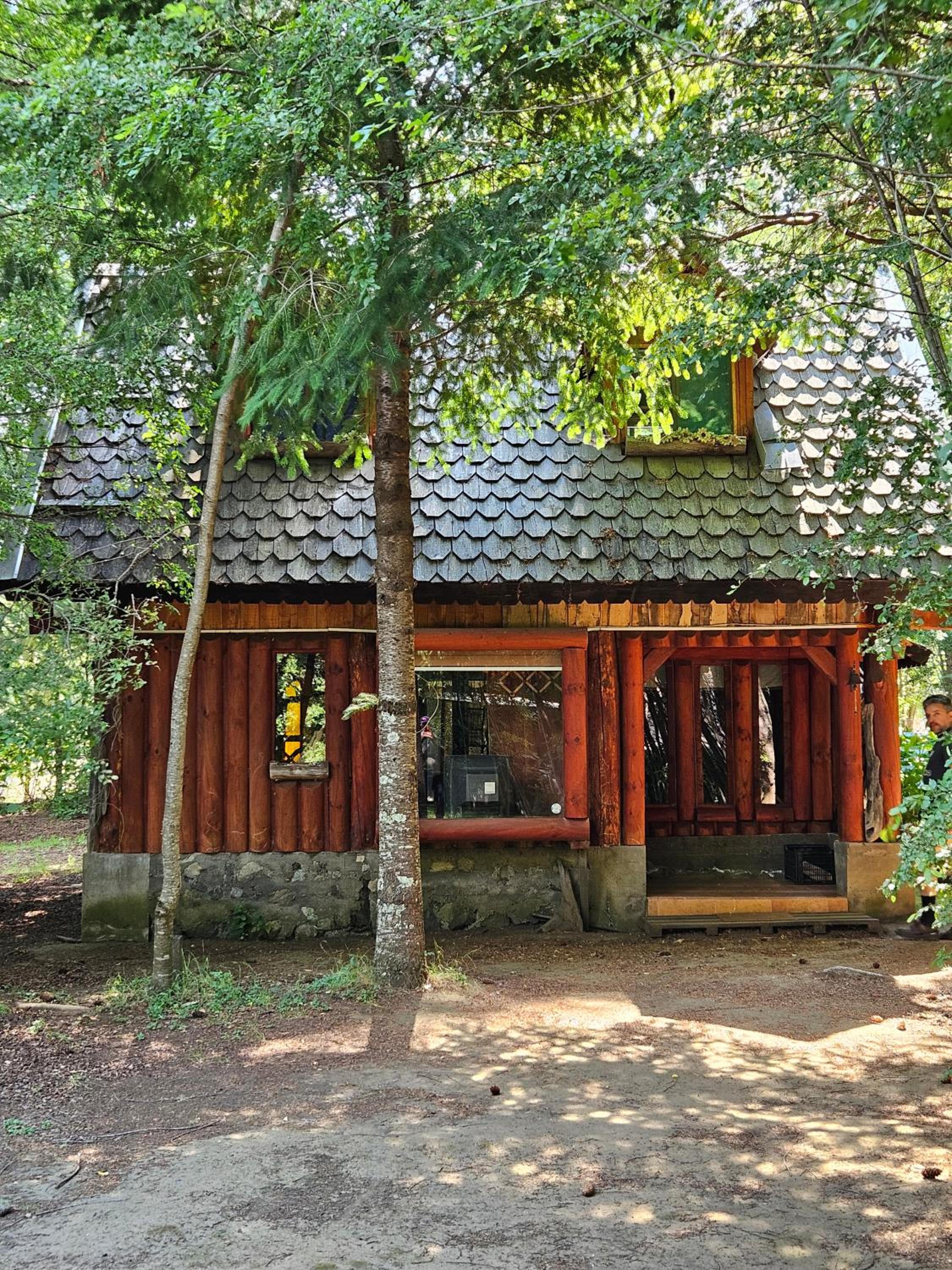Chalet photo 3
