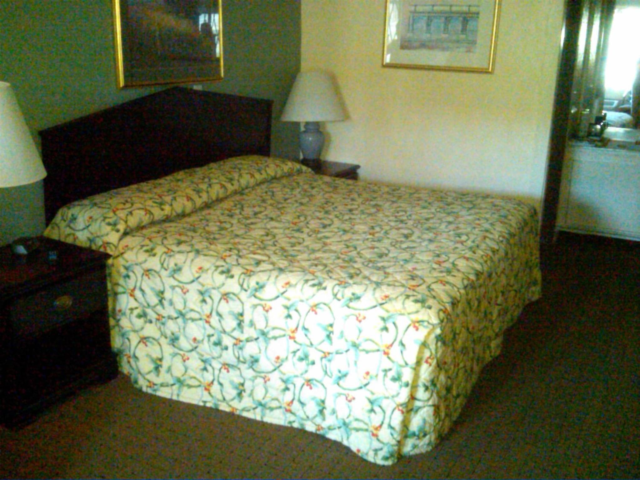 King Room- Non-Smoking - Photo 6