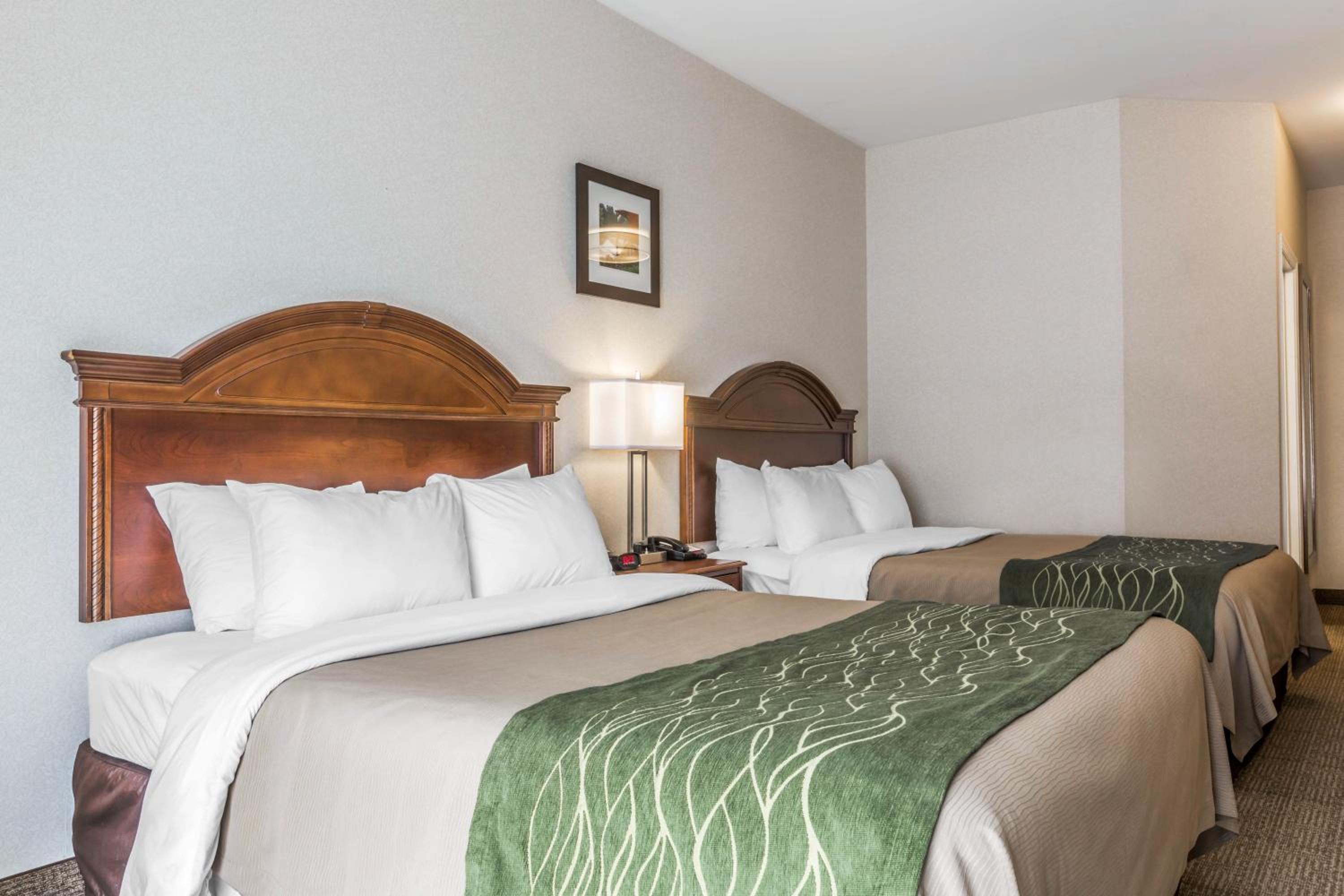 Standard Queen Room with Two Queen Beds - Non-Smoking - Photo 4