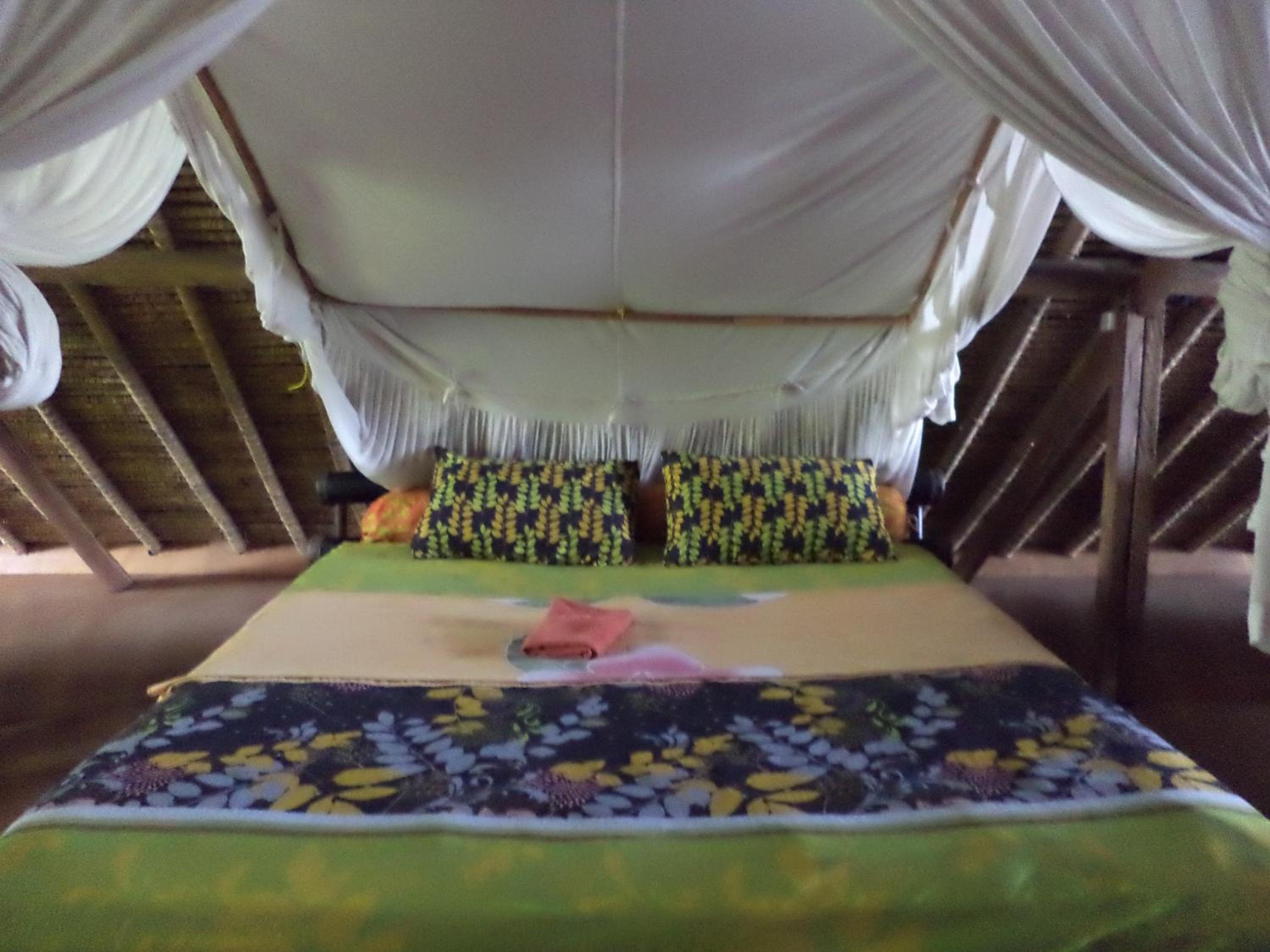 Family Room - Photo 2