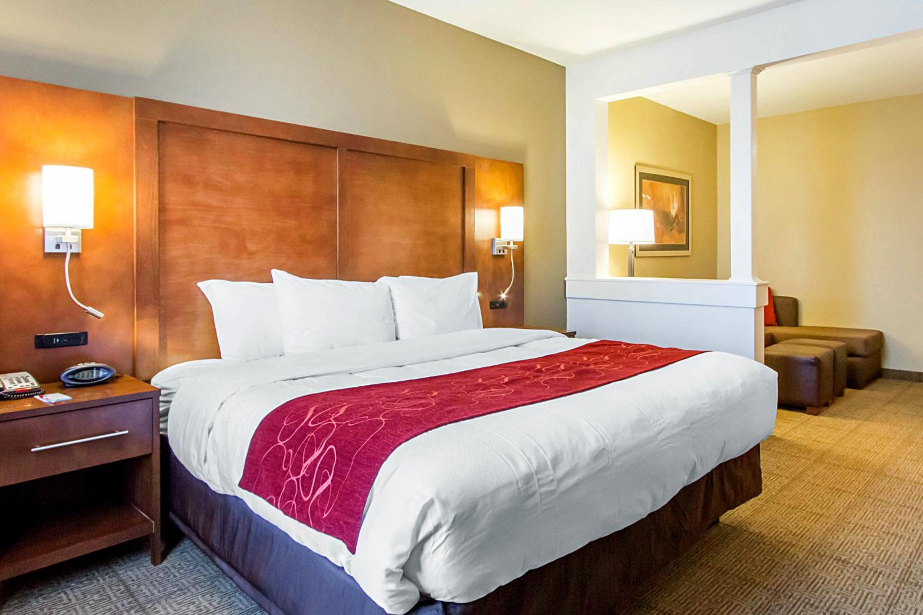 King Suite - Disability Access/Non-Smoking - Photo 5