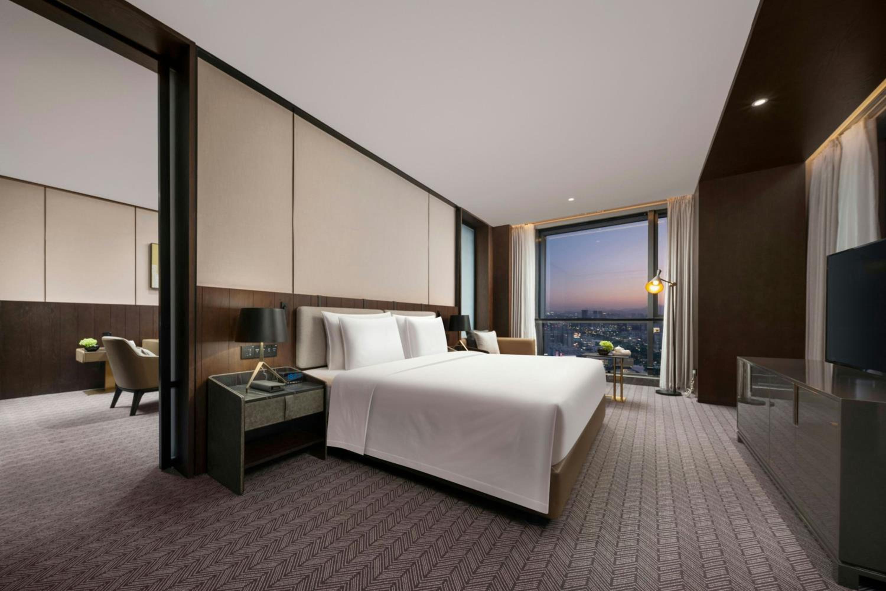 Deluxe King Suite with City View photo 2