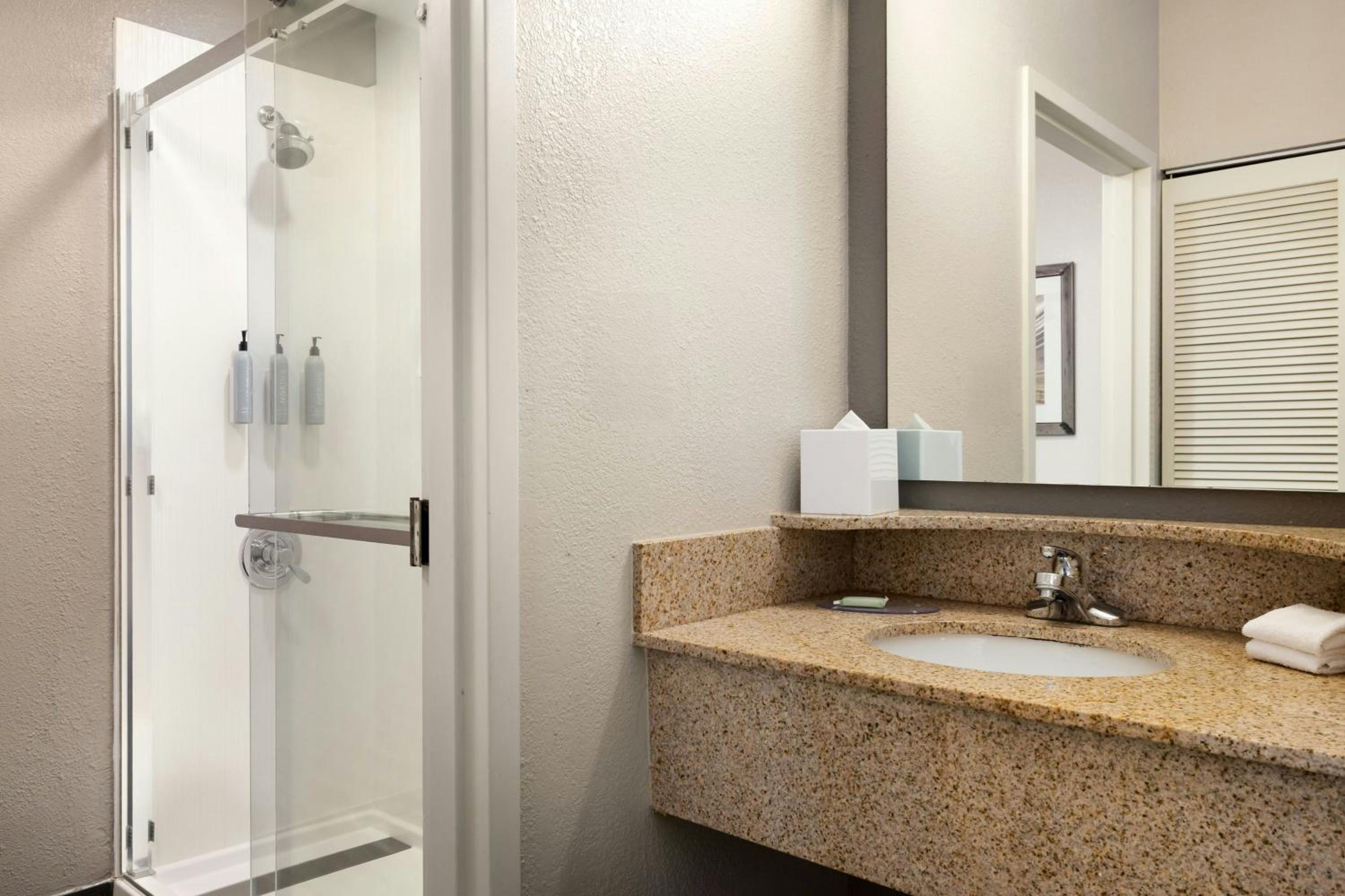 King Room with Roll-In Shower - Mobility Access/Hearing Accessible - Photo 2
