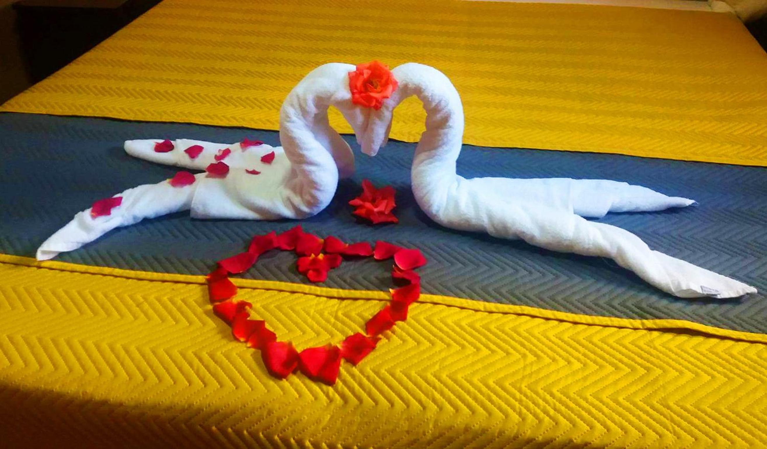 Standard Double Room - Photo 8