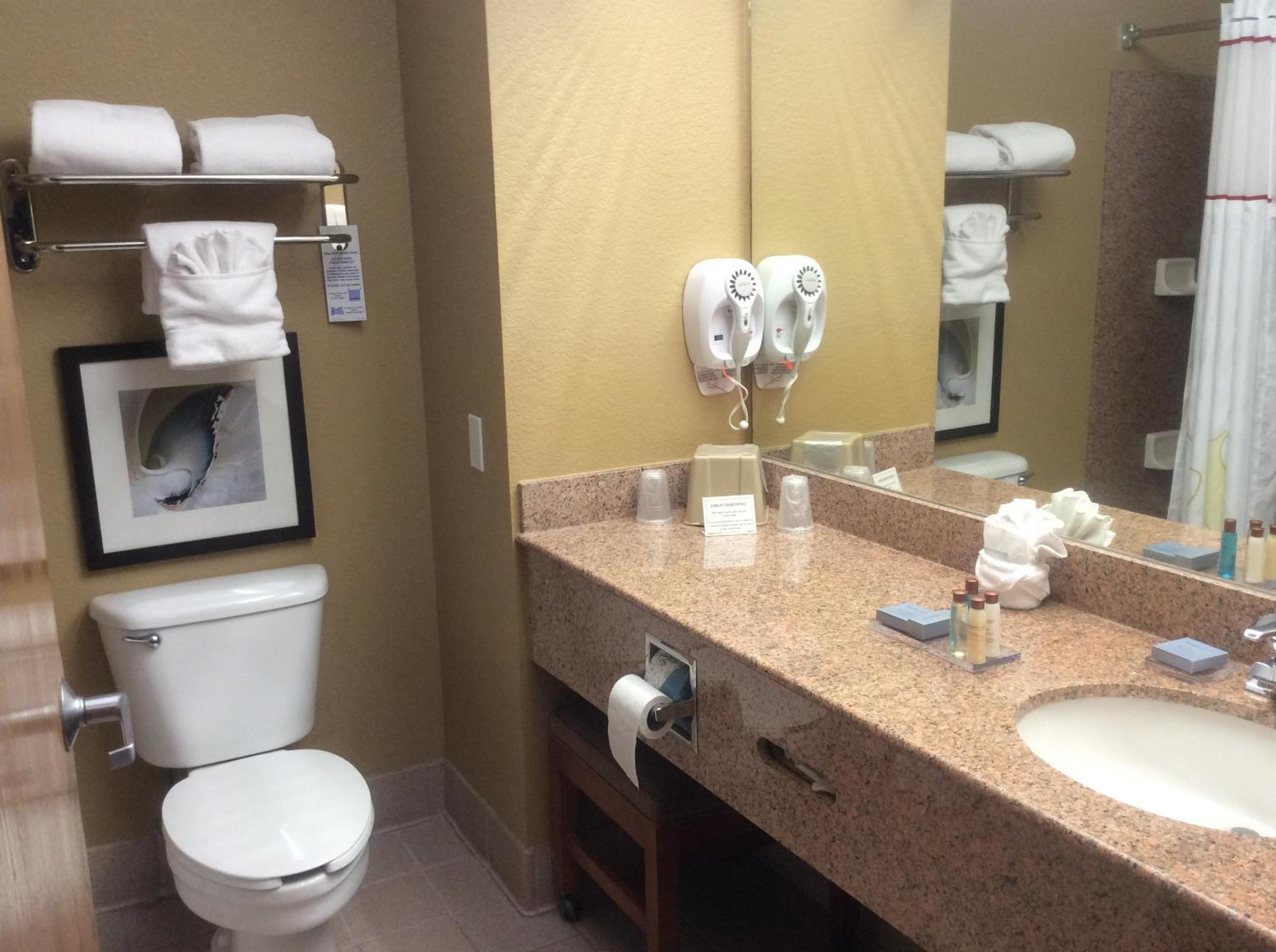 One-Bedroom King Suite - Non-Smoking - Photo 2