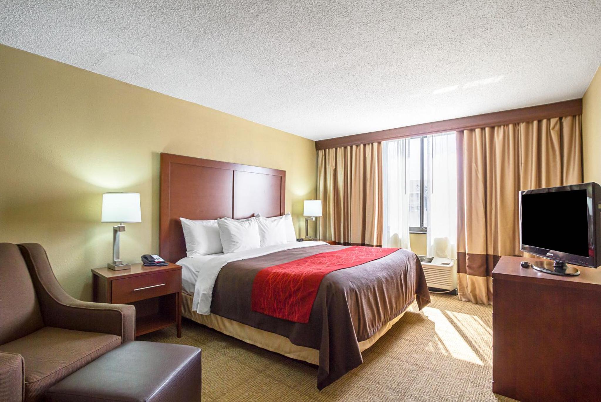 King Room photo 3