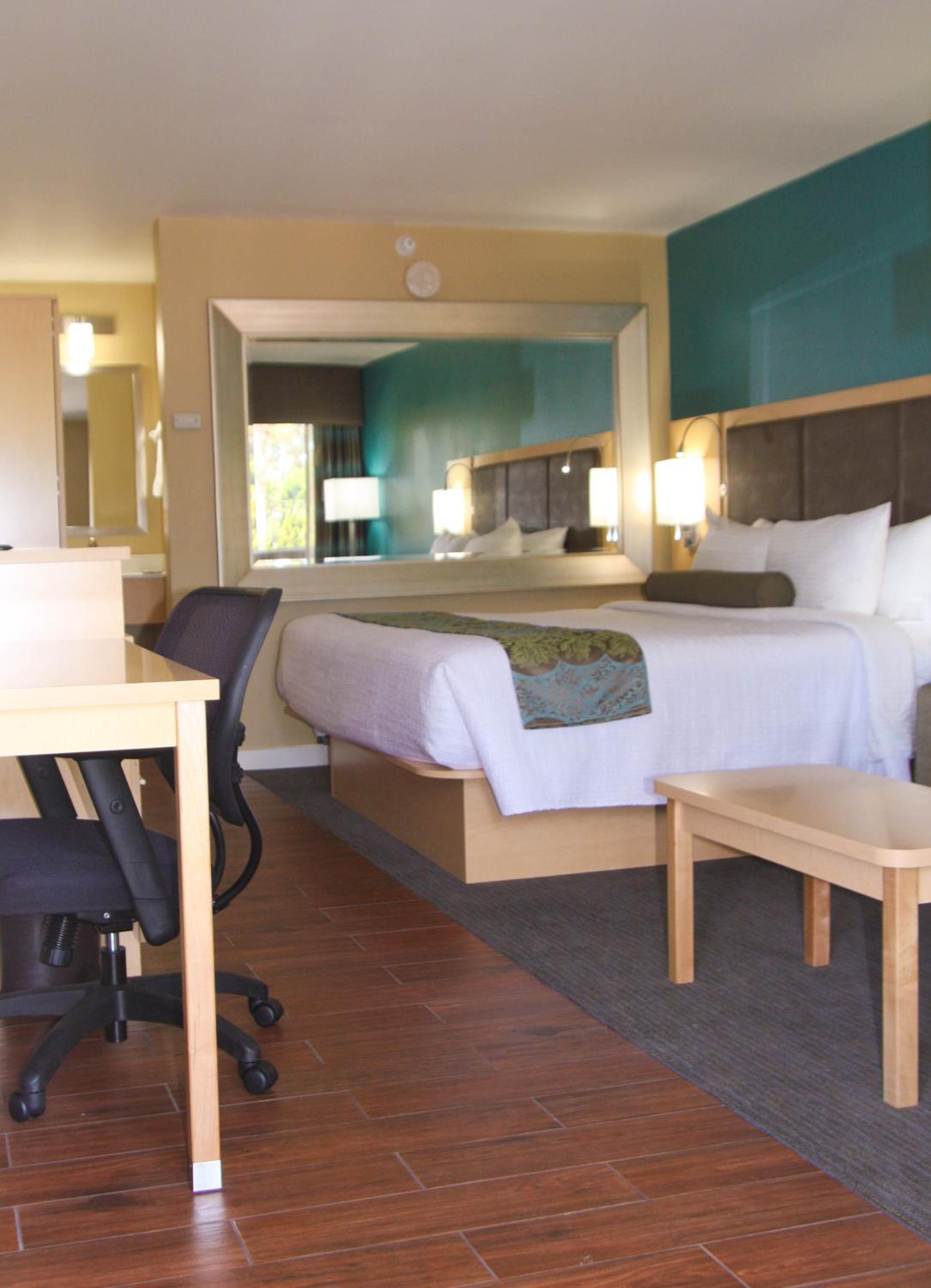 King Room - Non-Smoking - Photo 12