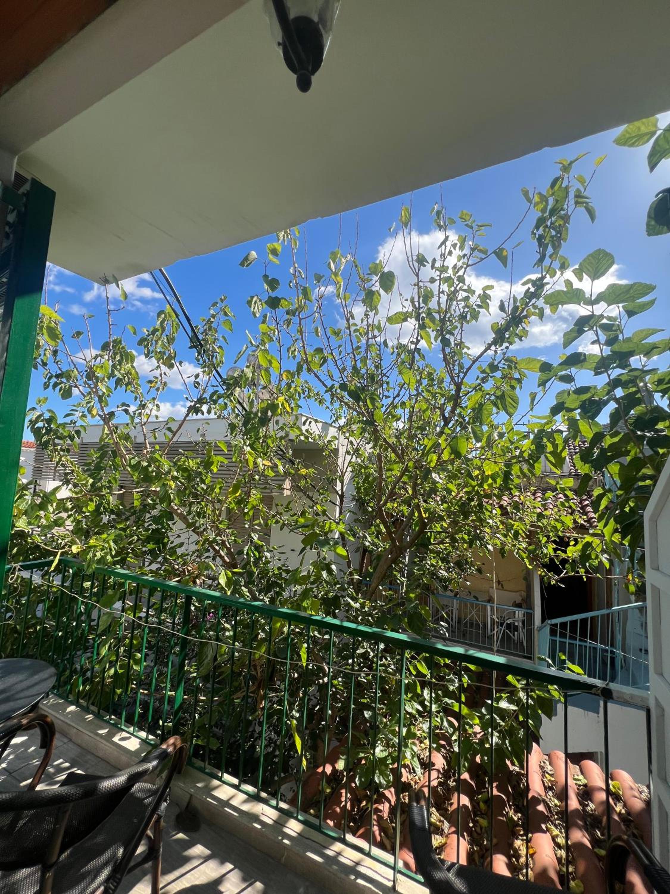 Quarto triplo com vista para o jardim