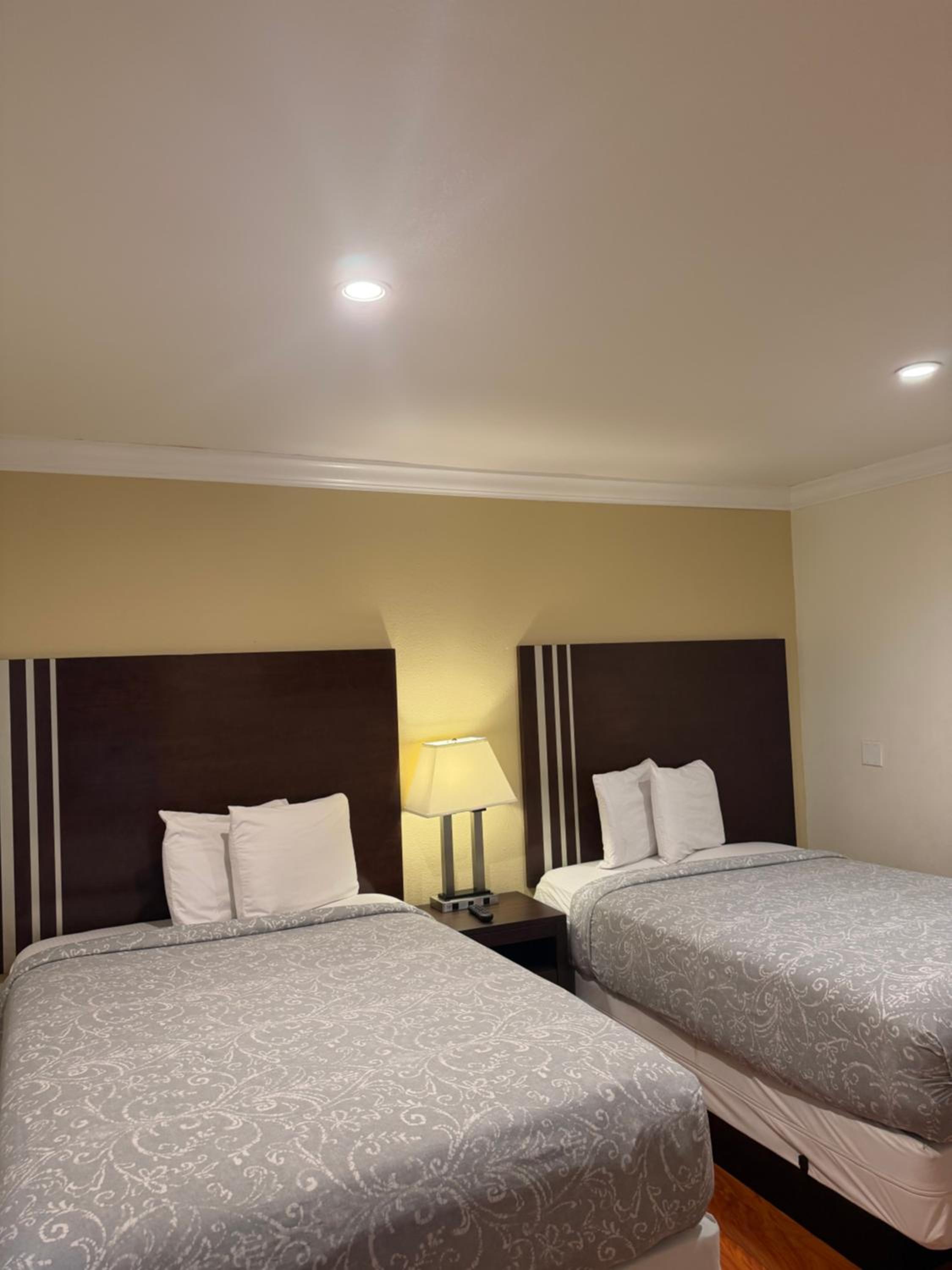 Junior Suite - Photo 1