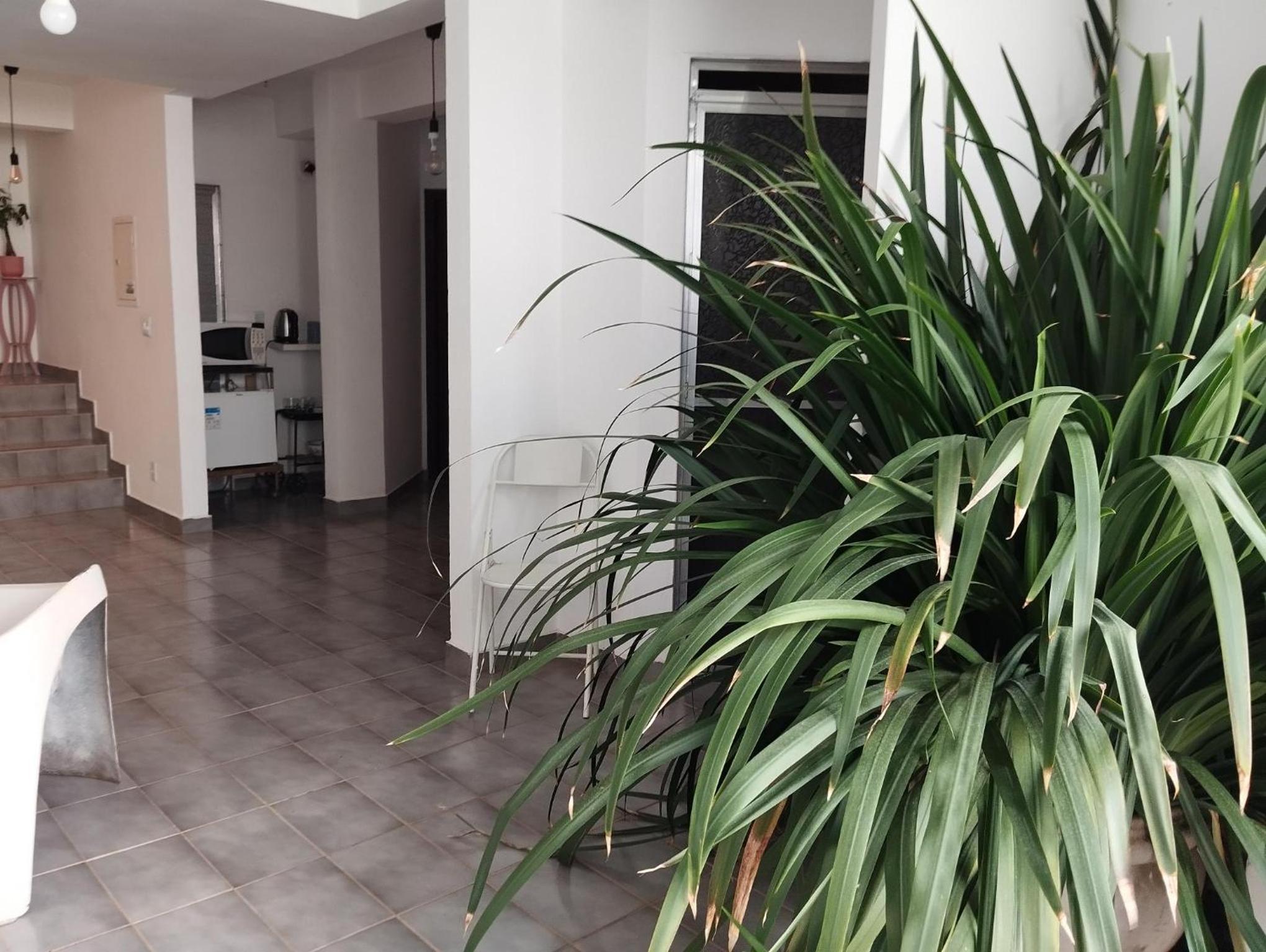 Standard Double Room - Photo 1