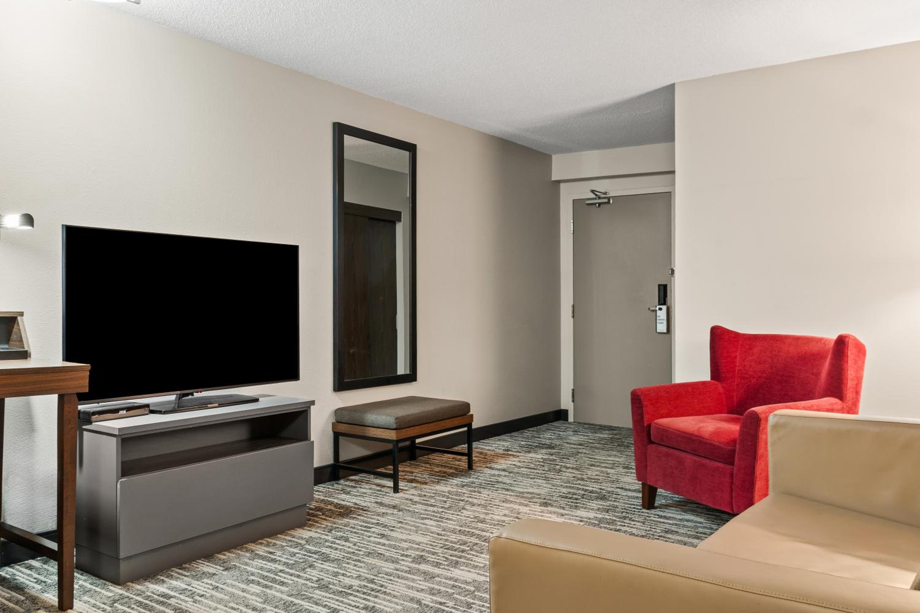 Efficiency King Suite - Accessible/Non-Smoking