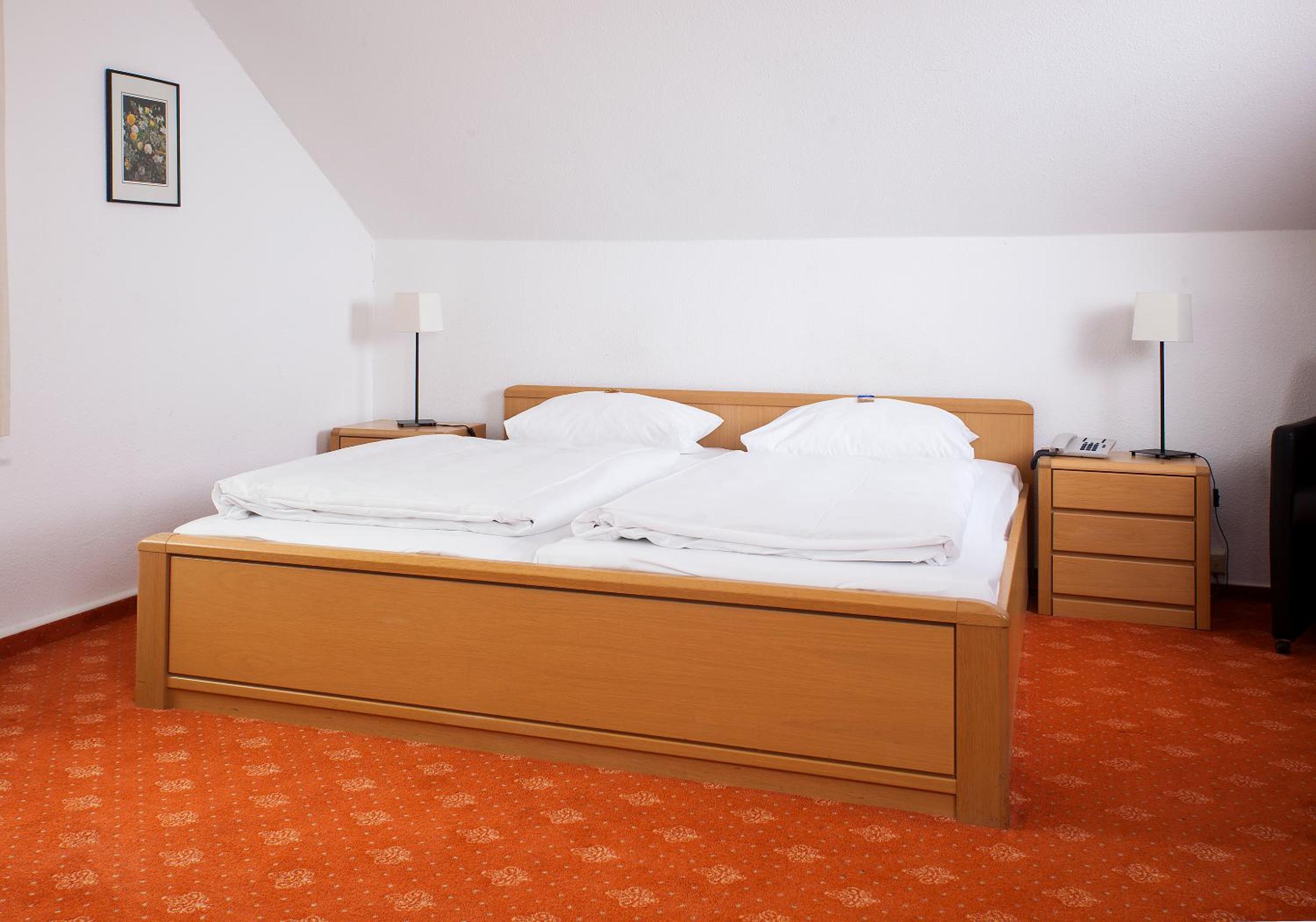 Basic Triple Room