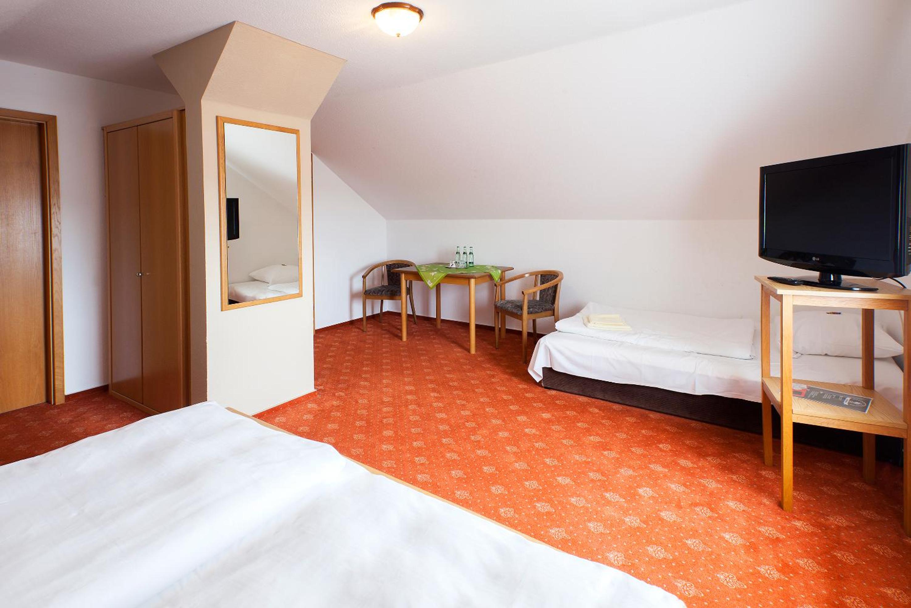 Basic Triple Room
