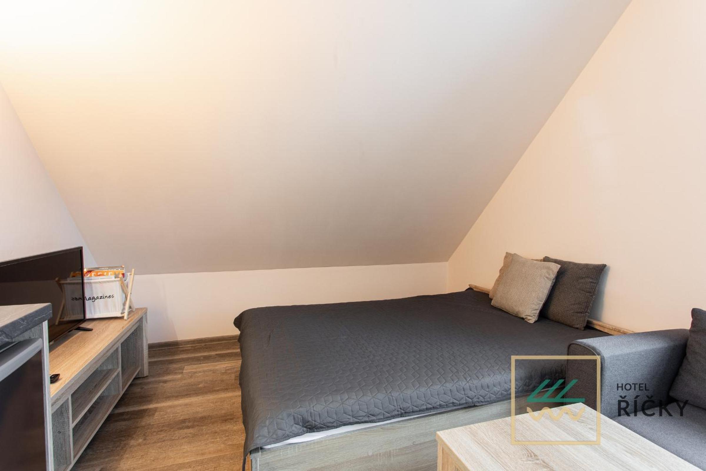 One-Bedroom Apartment photo 2