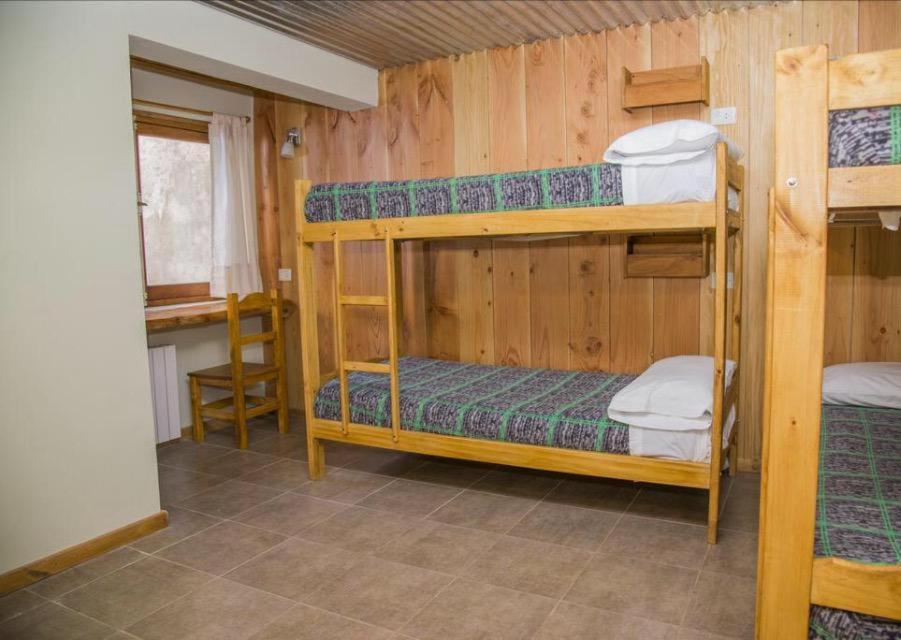 Bed in 4-Bed Female Dormitory Room photo 1