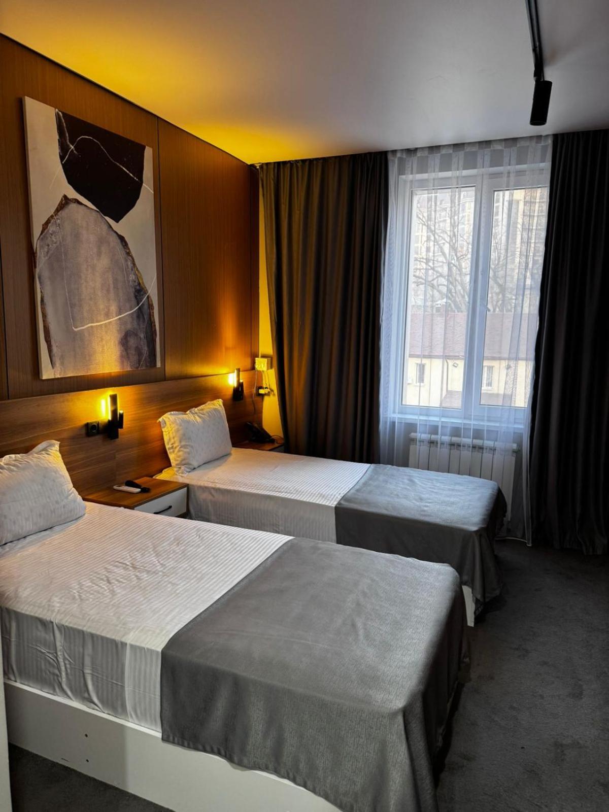 Deluxe Double or Twin Room with City View