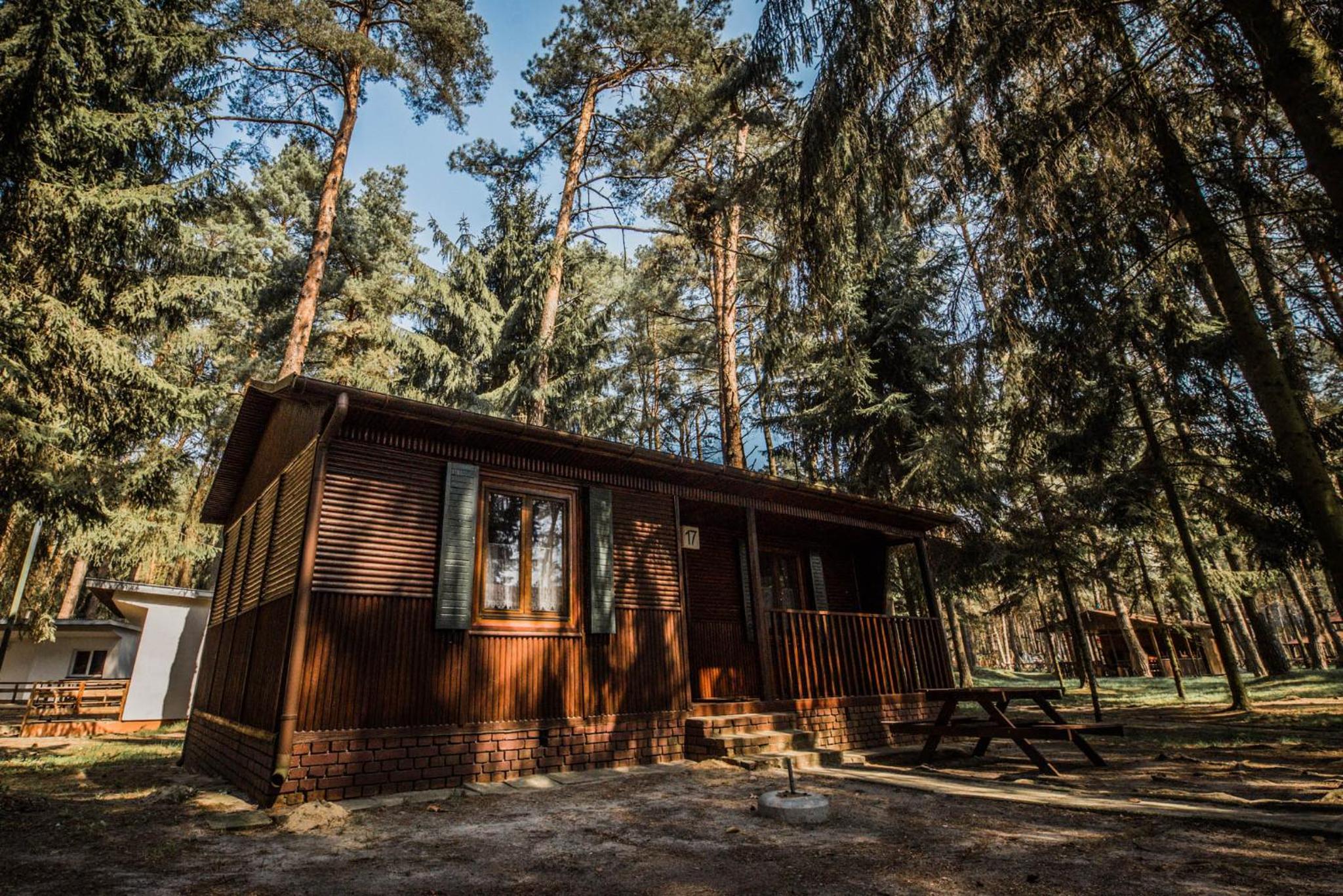 Chalet photo 1