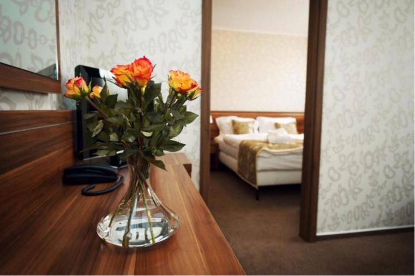 One-Bedroom Suite photo 2