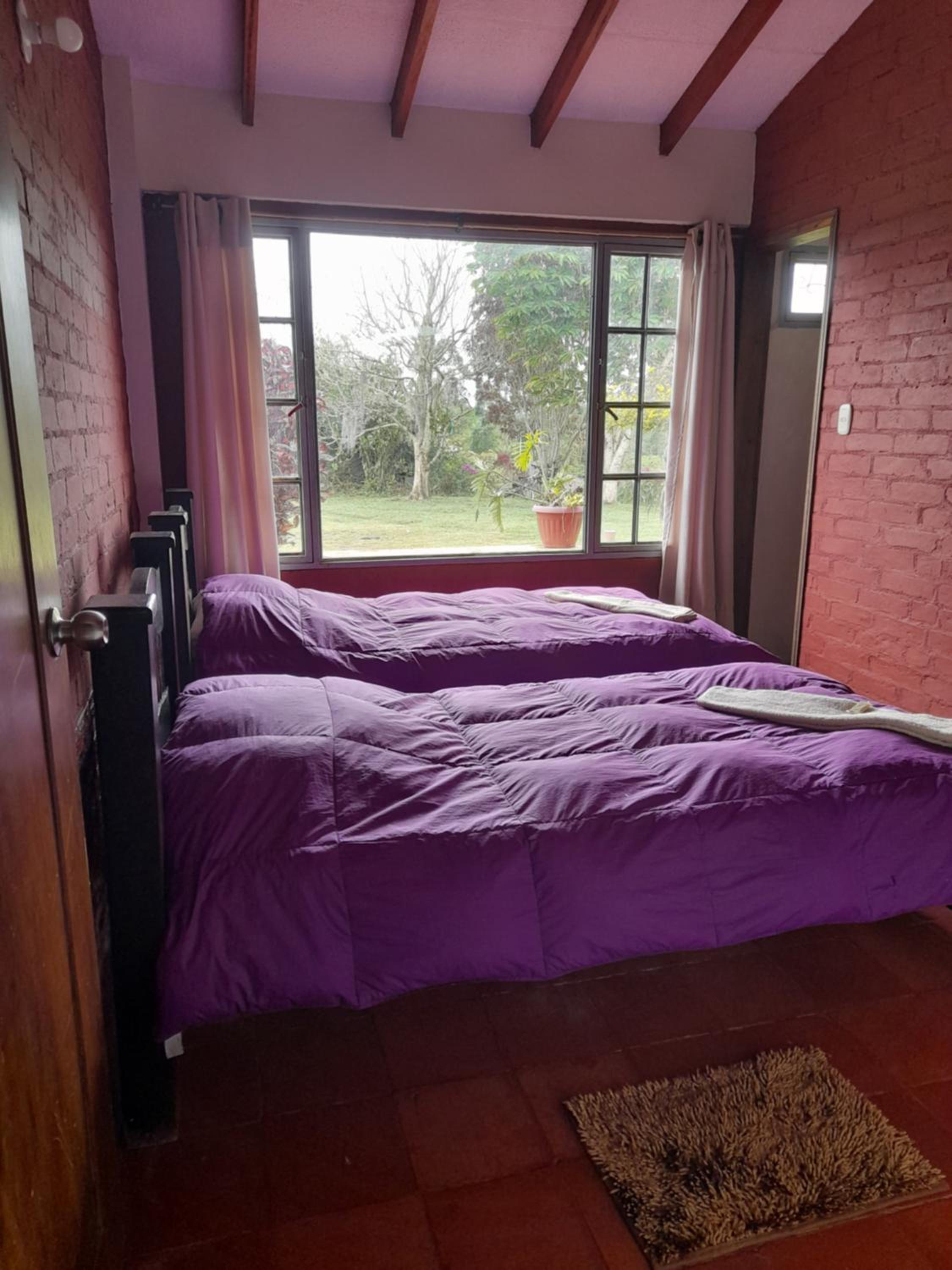 Budget Double Room photo 1