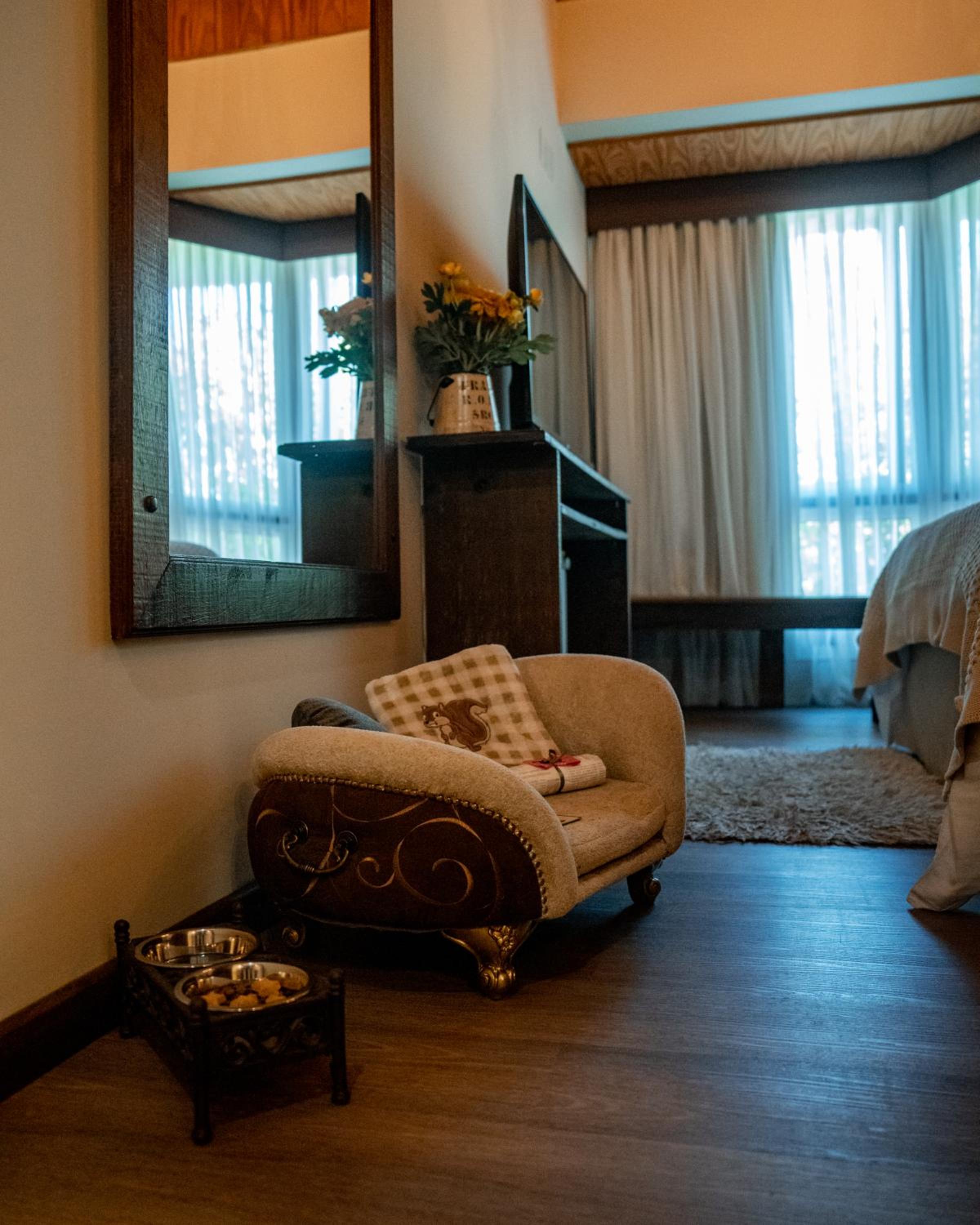 Deluxe Suite photo 1