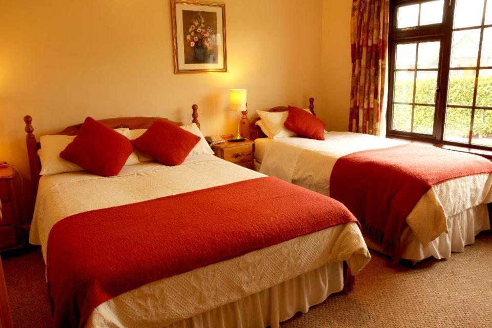 Twin Room photo 3