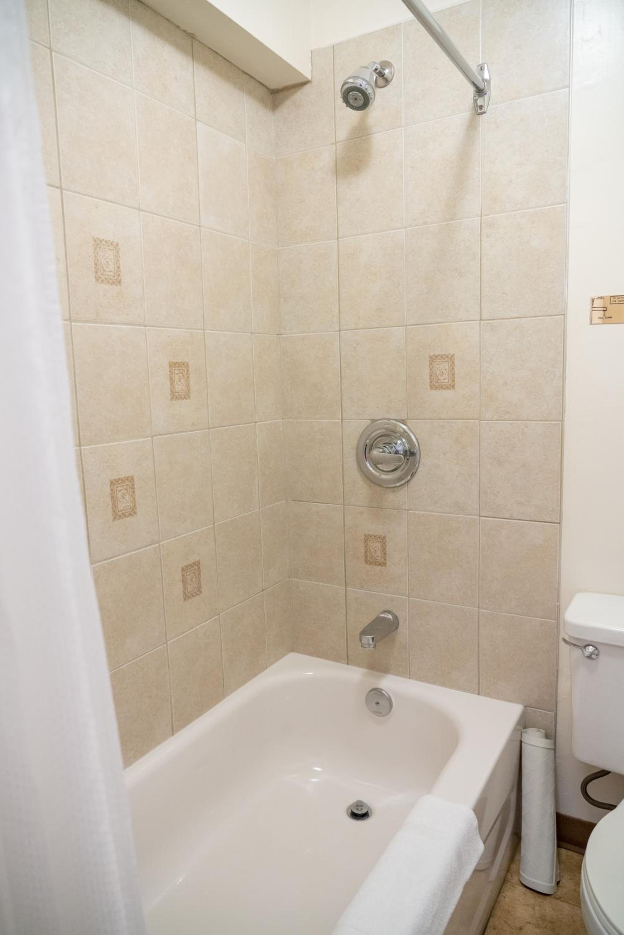 Queen, Twin Room With Kitchen photo 1