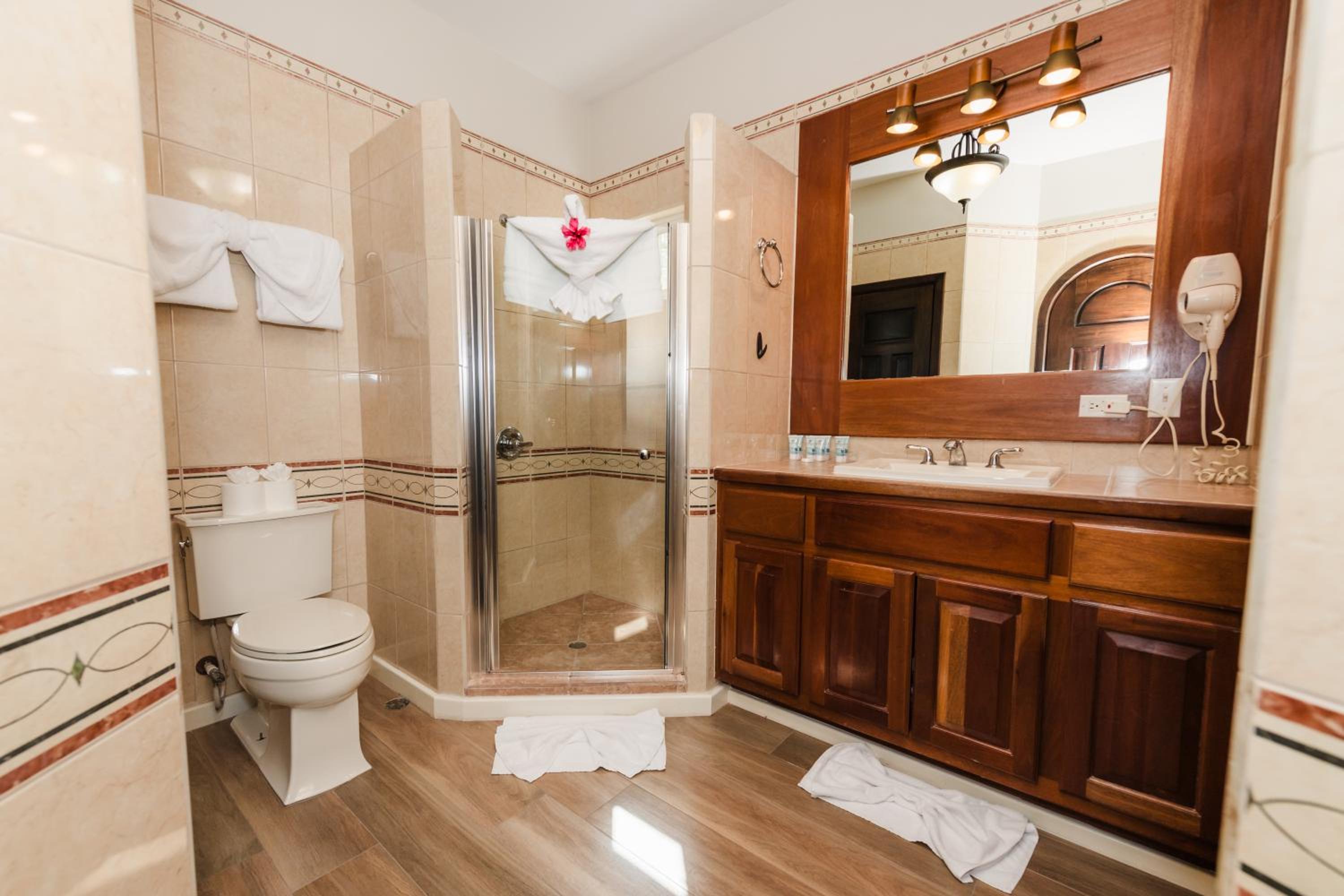 Deluxe Suite photo 3