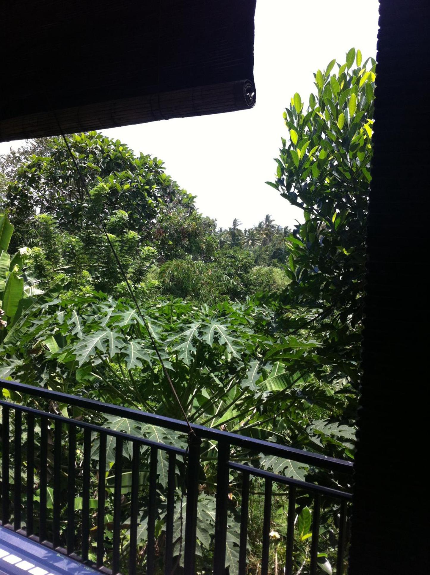 Deluxe Double Room with Balcony - Photo 24