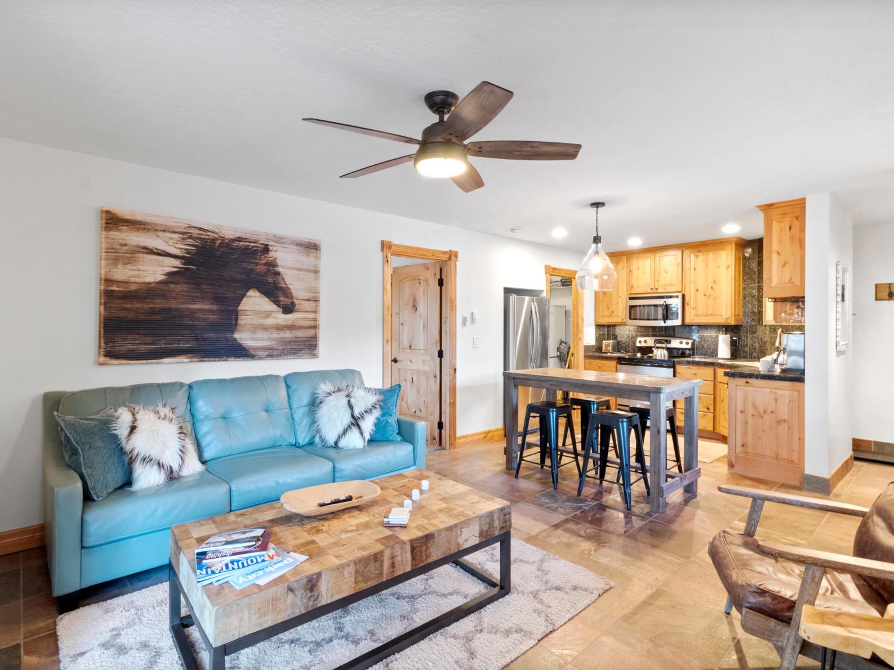 1 bedroom T1 photo 2