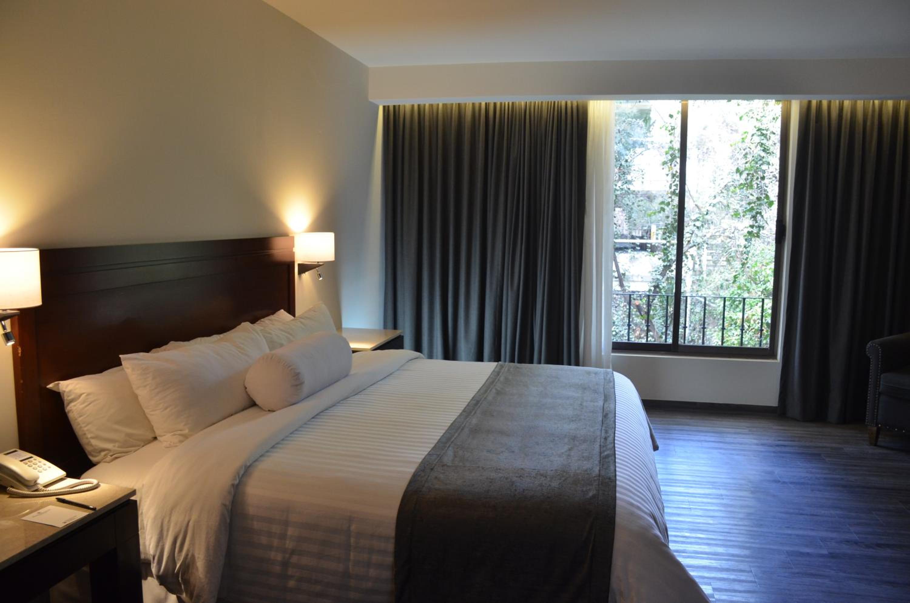 Junior Suite photo 1