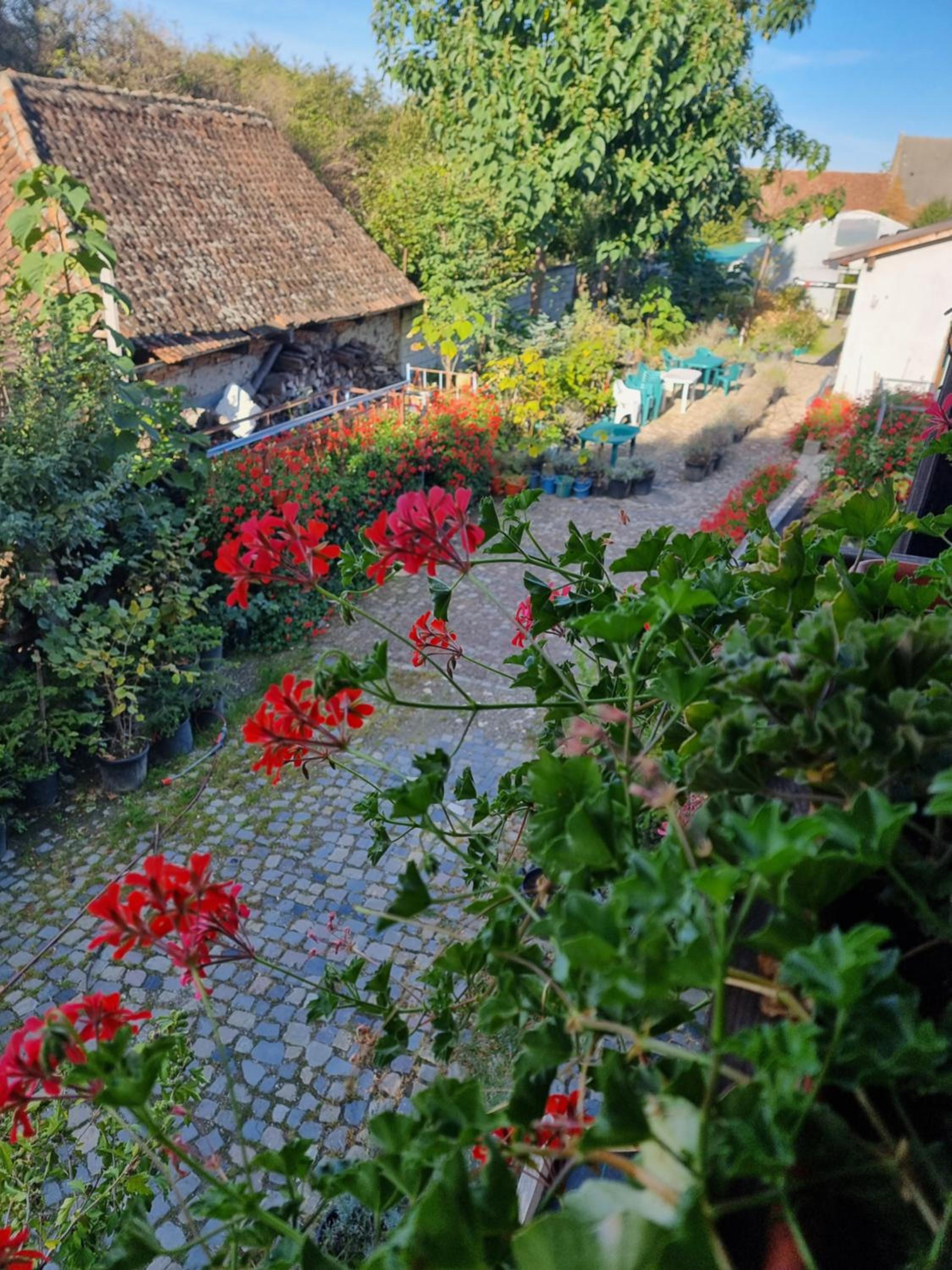 Quadruple Room with Garden View photo 2