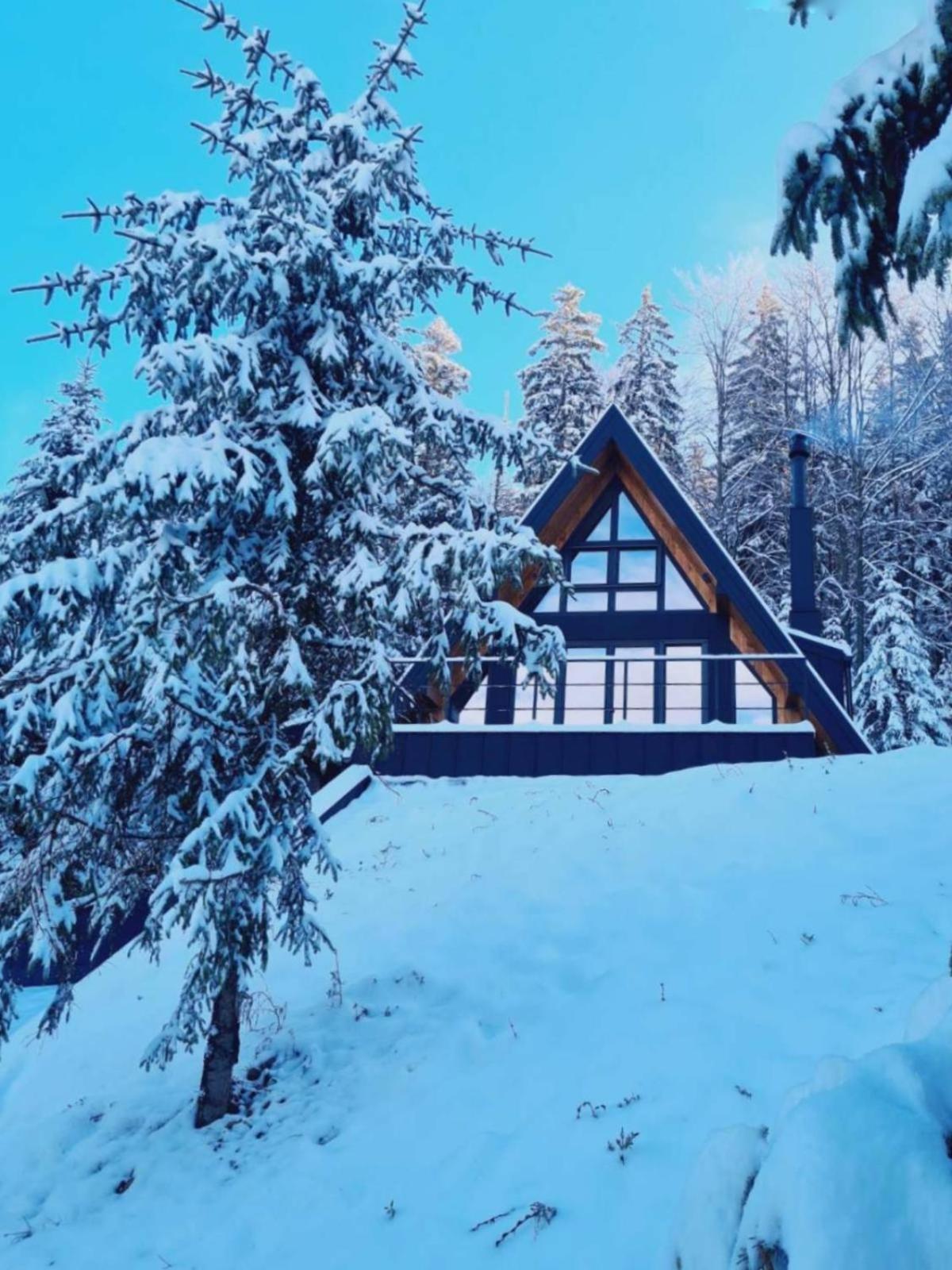 Gorje - Two-Bedroom house without sauna