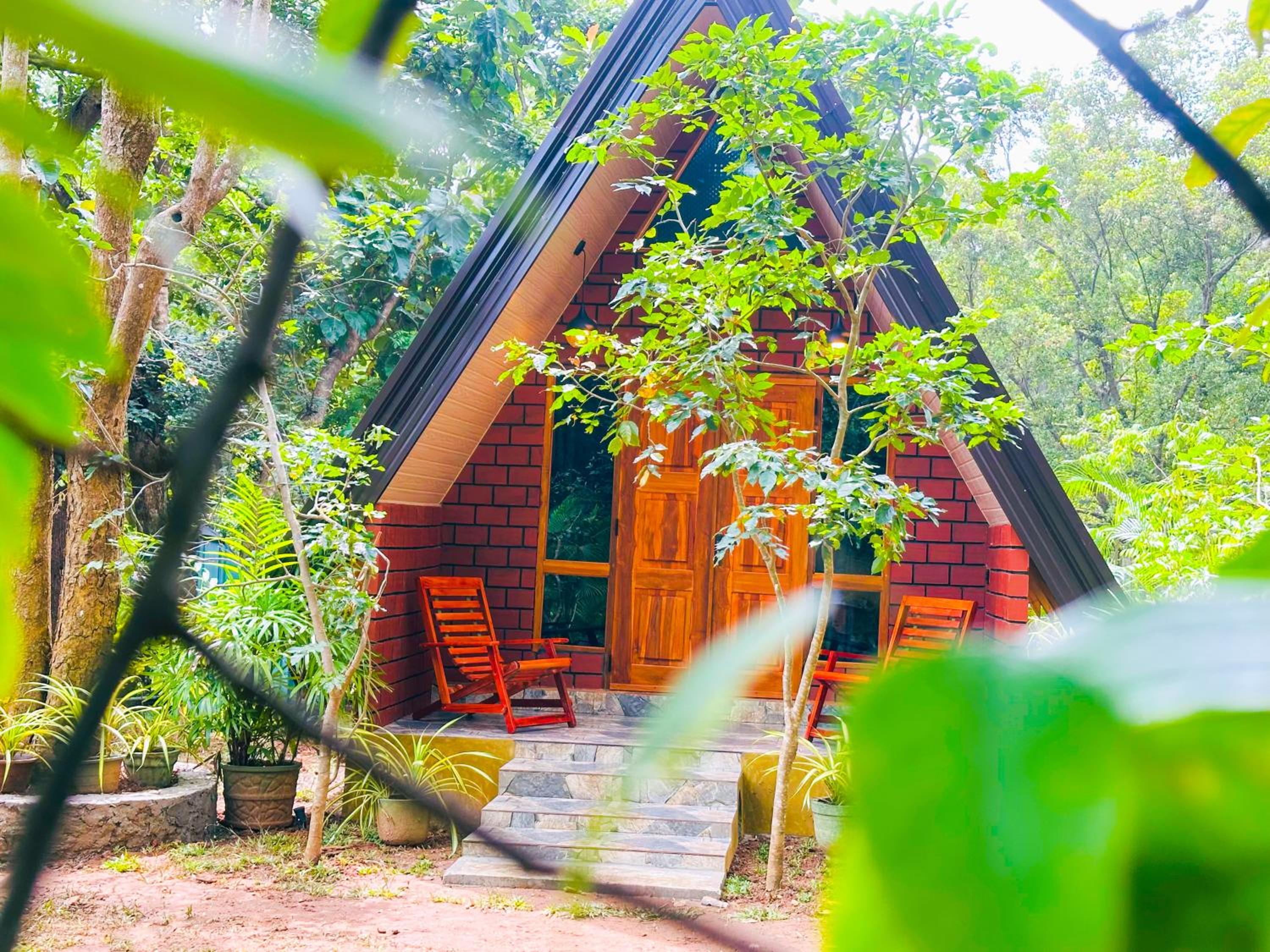 Deluxe Villa photo 1